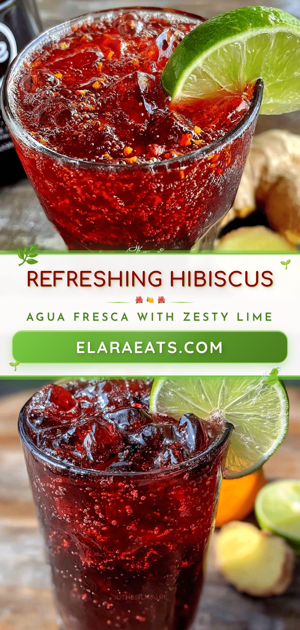 agua de jamaica recipe recipe