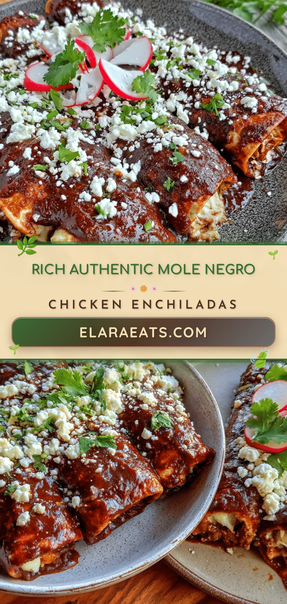 authentic mole negro chicken enchiladas recipe