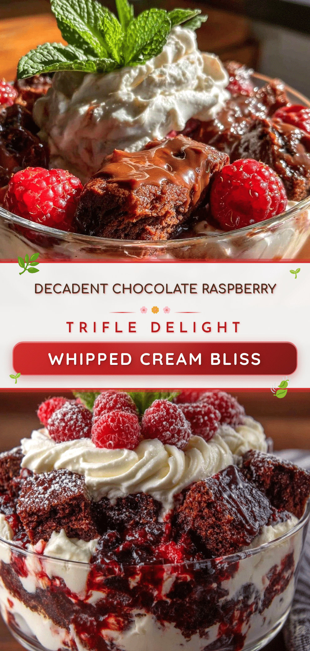 chocolate raspberry trifle recipe