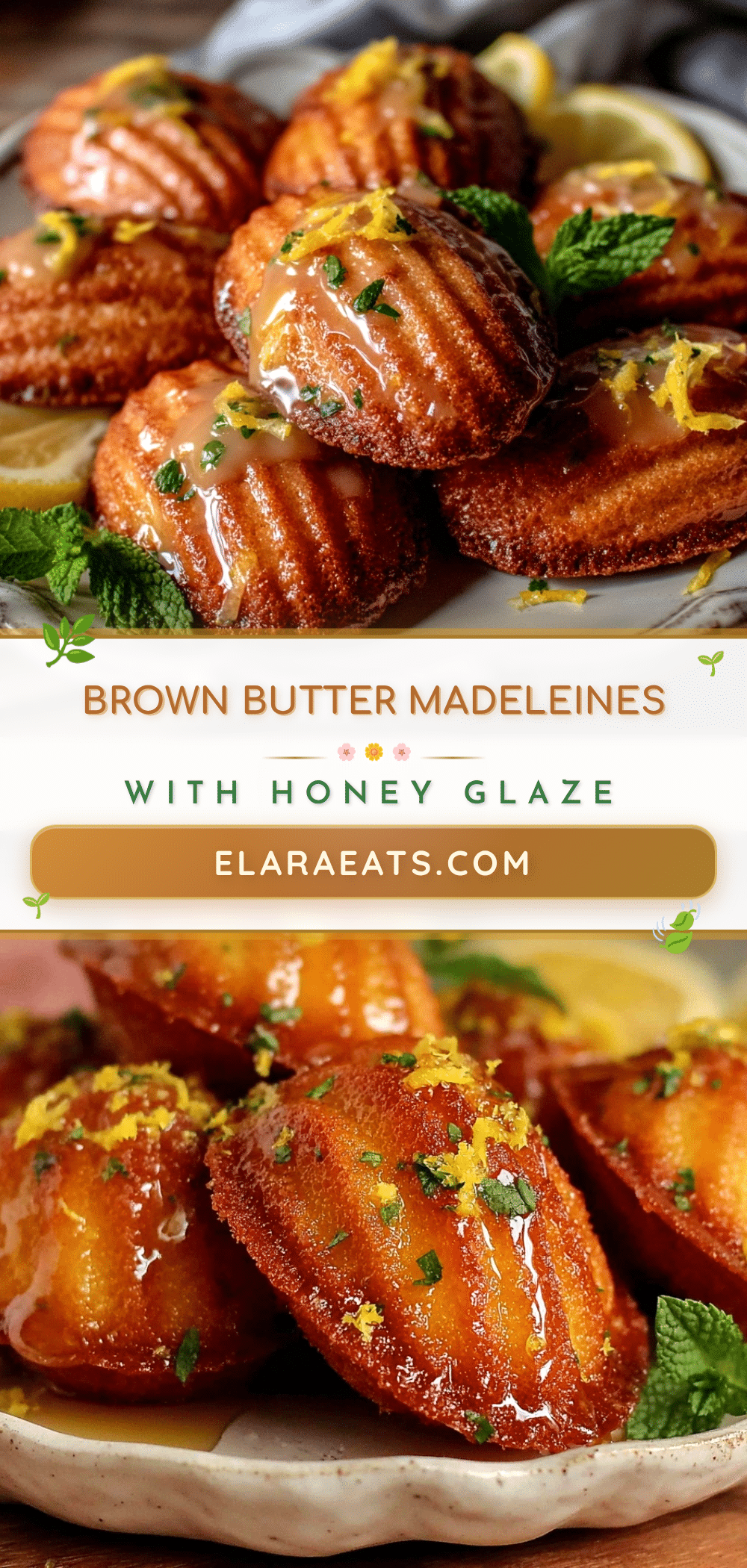 classic French madeleines recipe