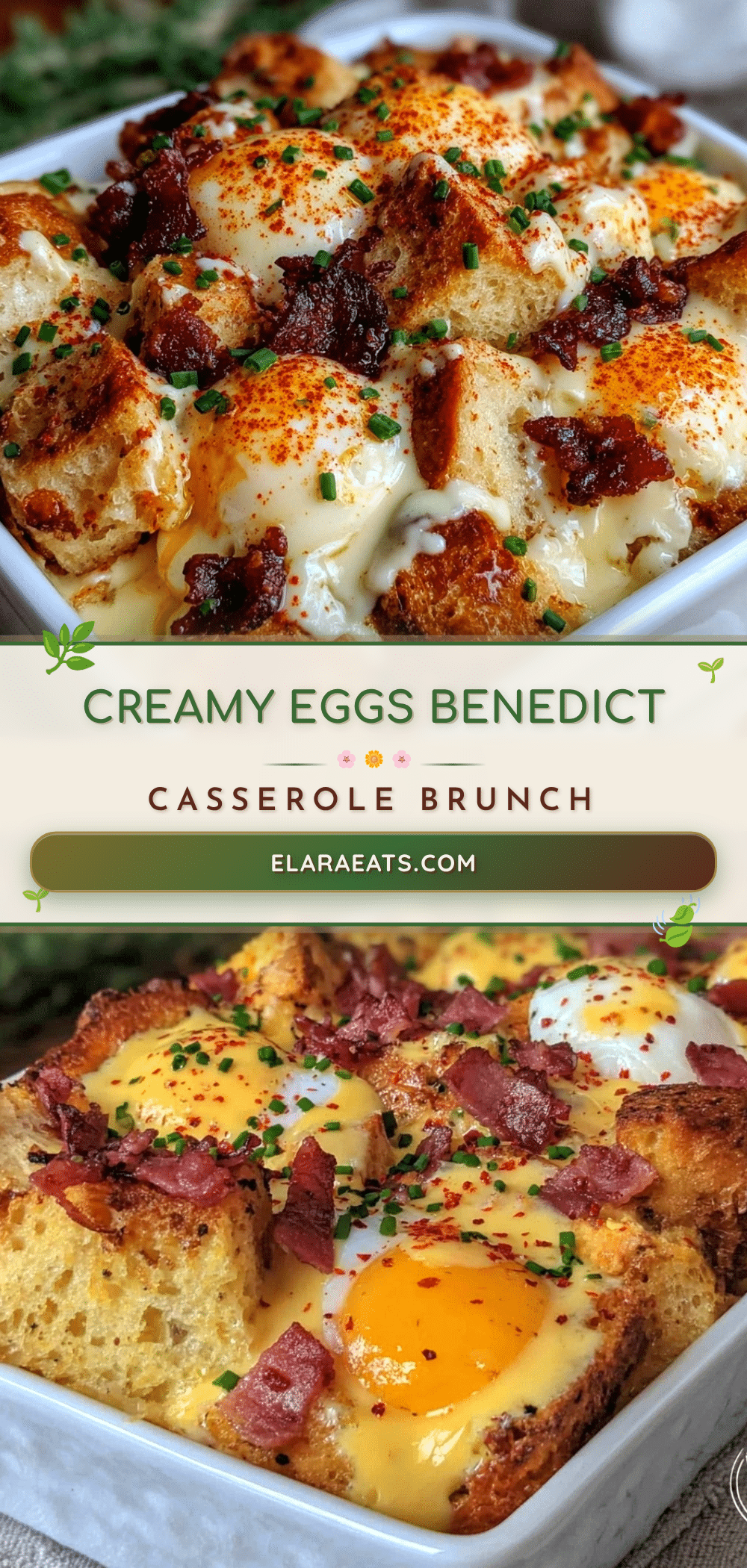 creamy eggs benedict casserole recipe
