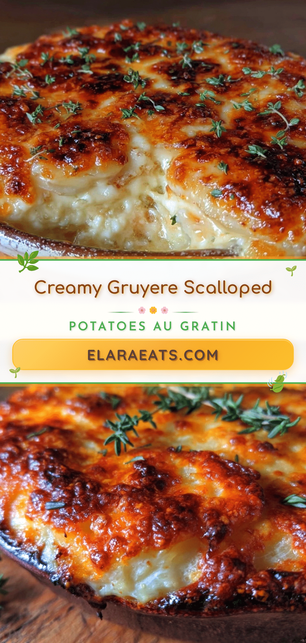 creamy scalloped potatoes au gratin recipe