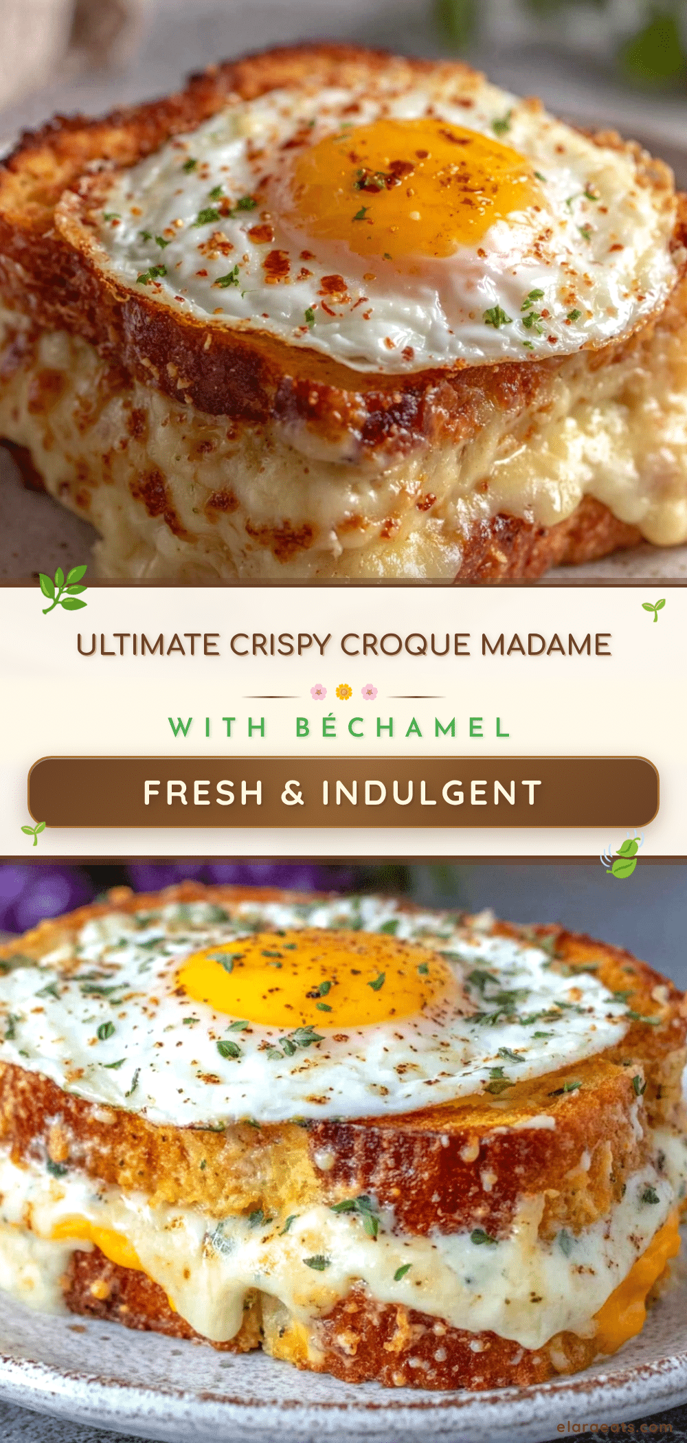 croque madame recipe recipe
