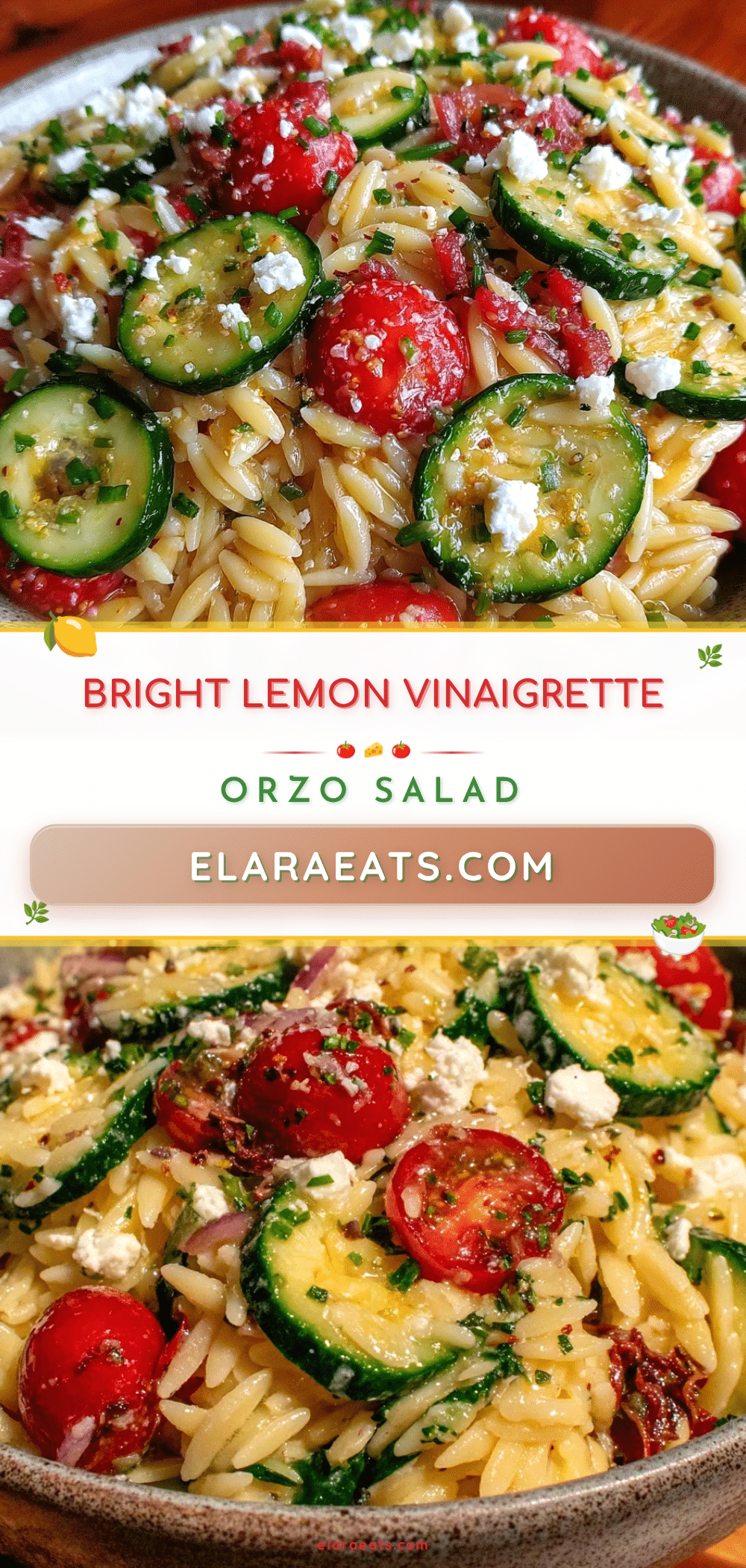 fresh lemon vinaigrette orzo pasta salad recipe