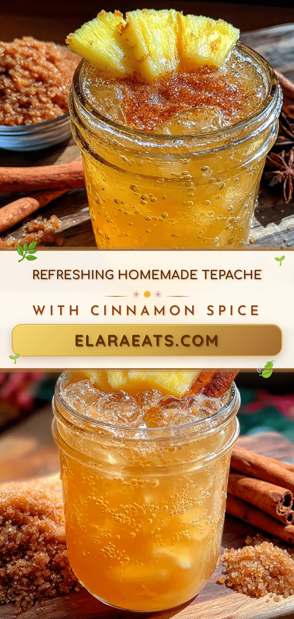 homemade tepache recipe recipe