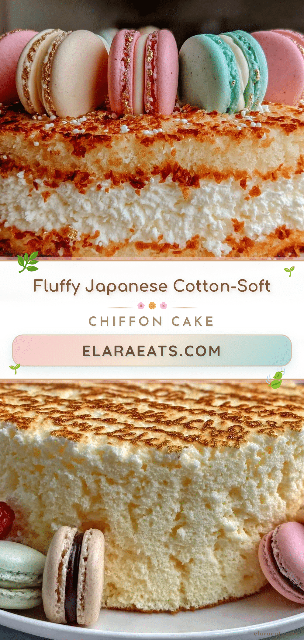 japanese chiffon cake recipe