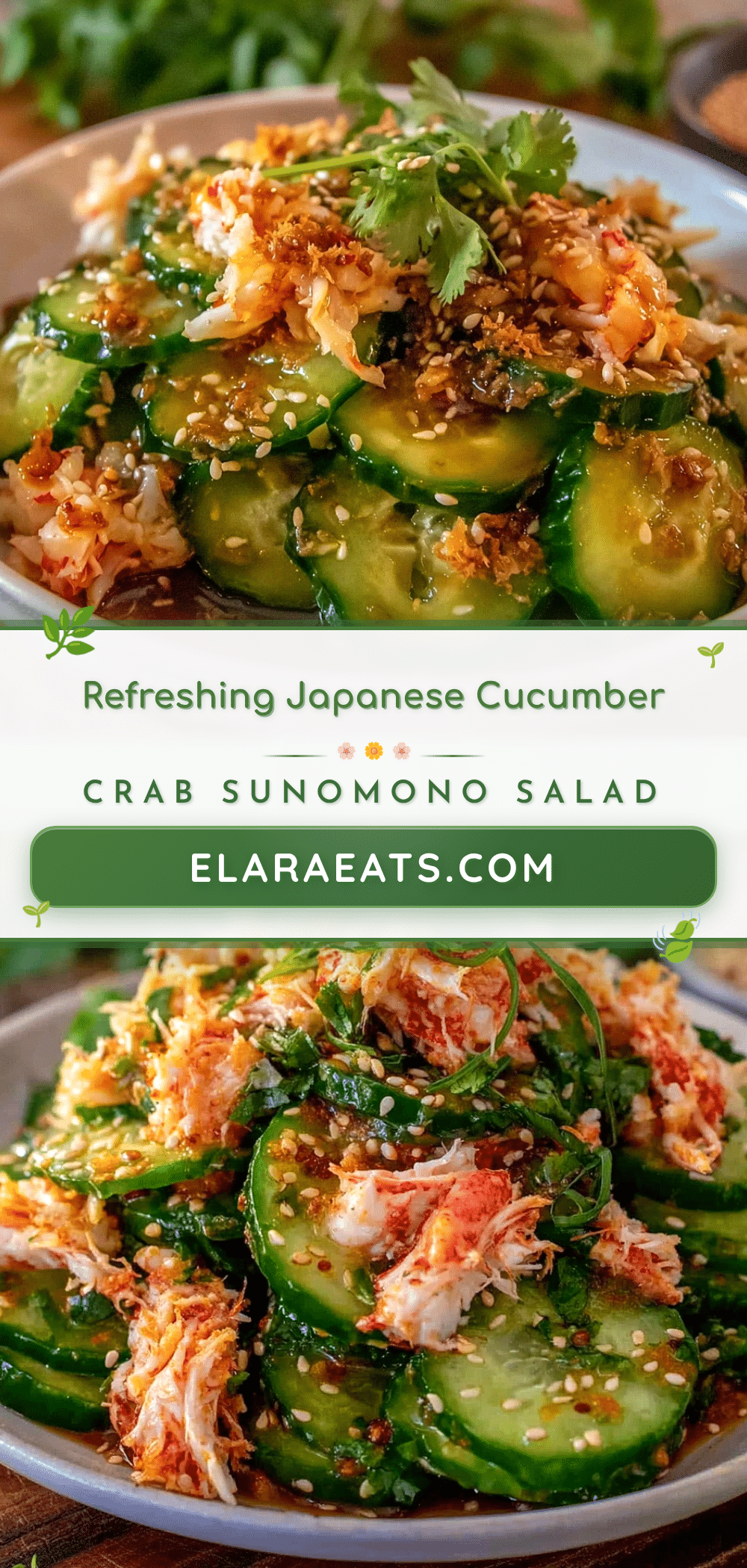 Japanese cucumber sunomono salad recipe