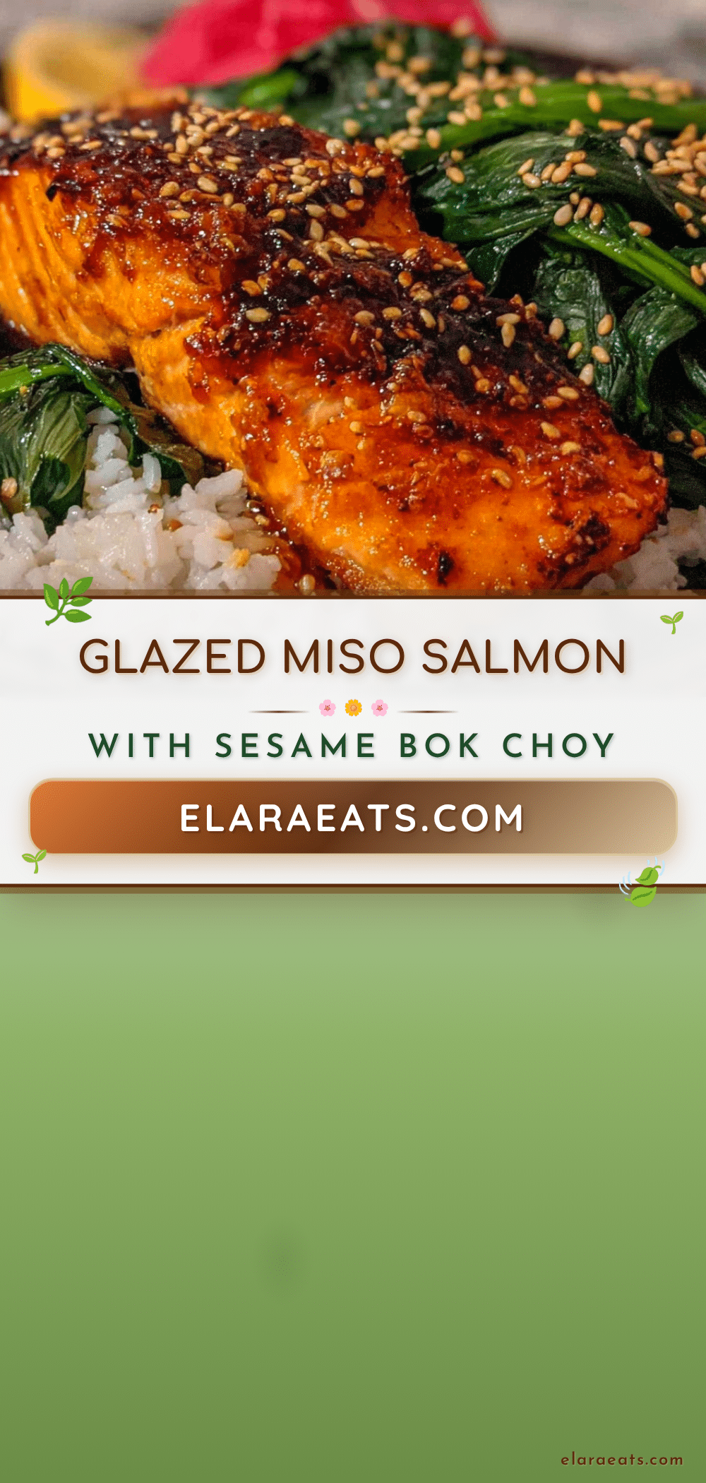 miso glazed salmon recipe