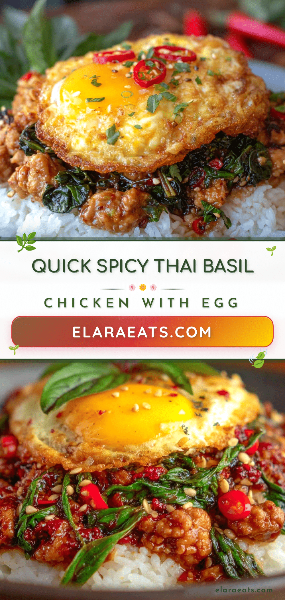 quick spicy thai basil chicken recipe