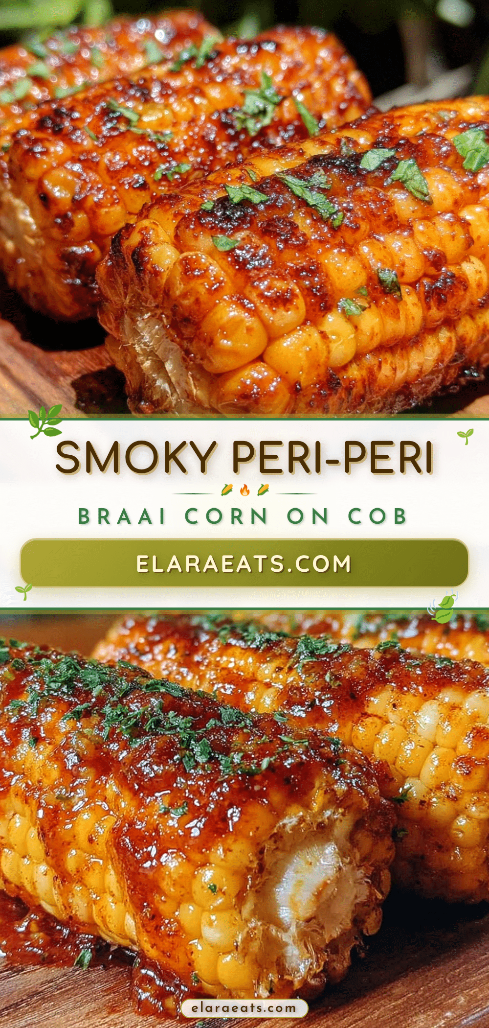 south african braai corn on the cob recipe
