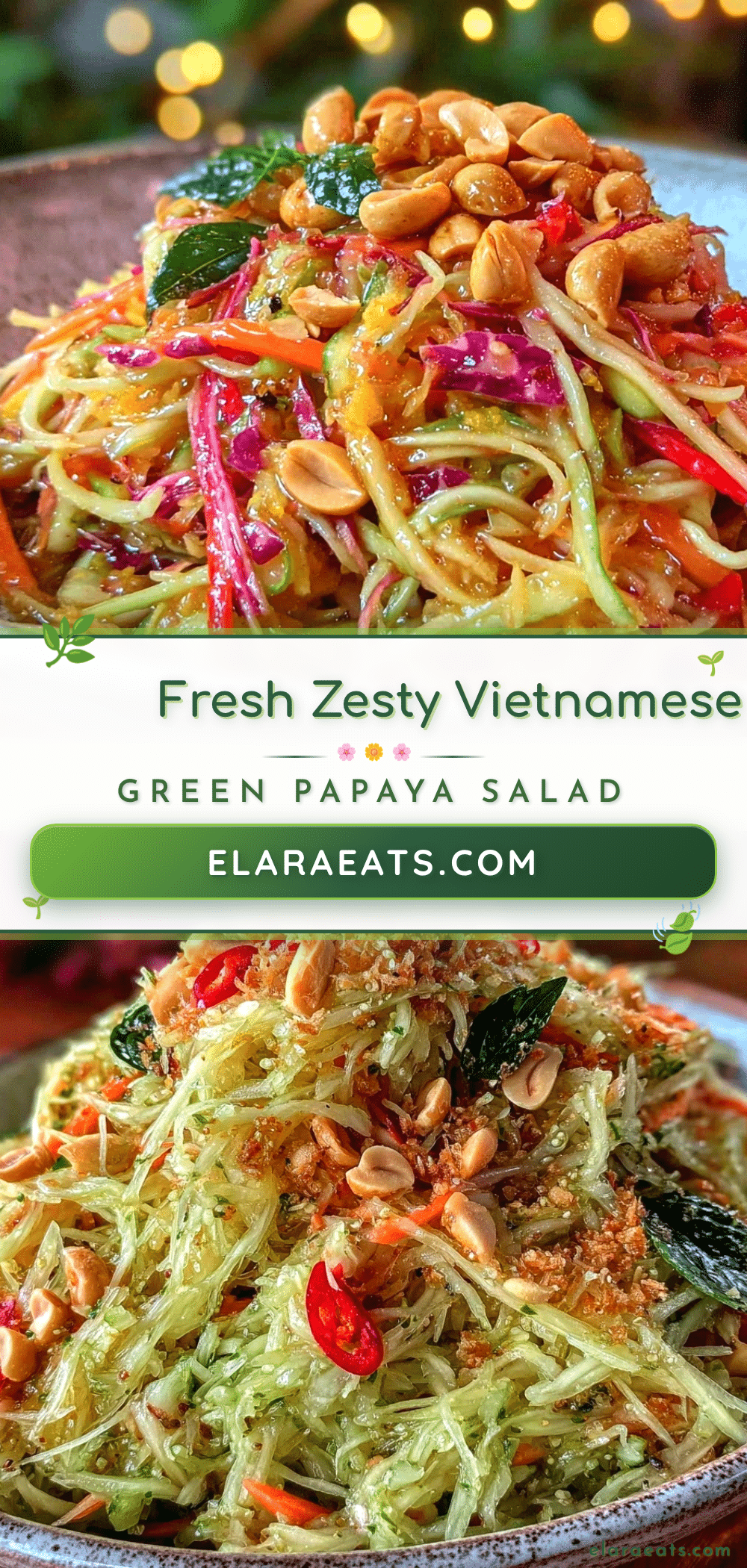 Vietnamese green papaya salad recipe