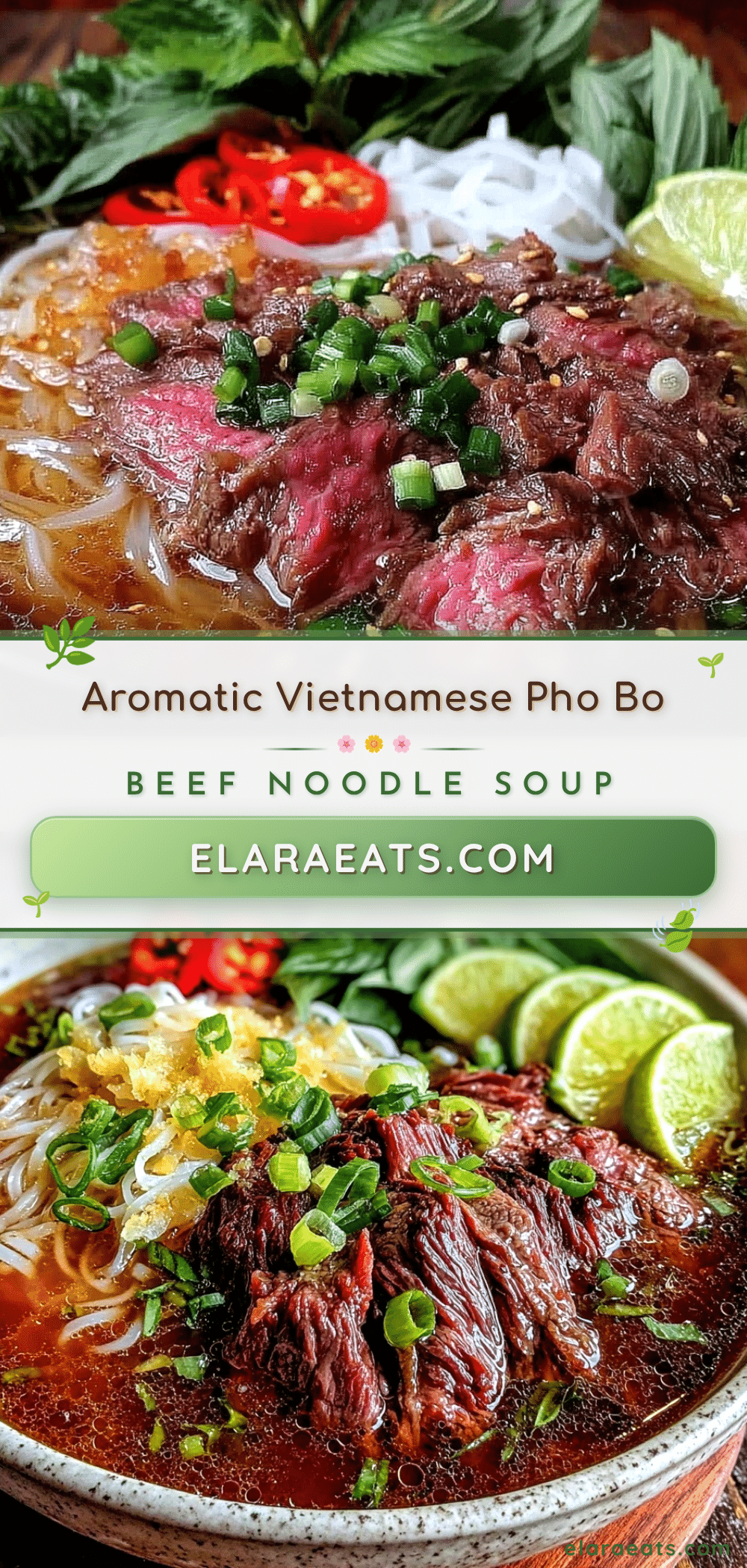 Vietnamese Pho Bo Beef Noodle Soup recipe