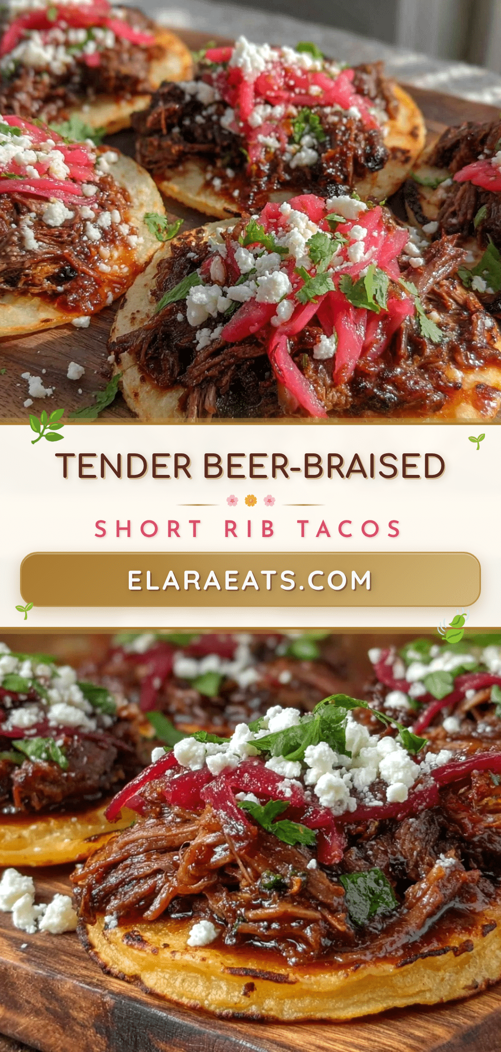 beer-braised short rib tacos recipe
