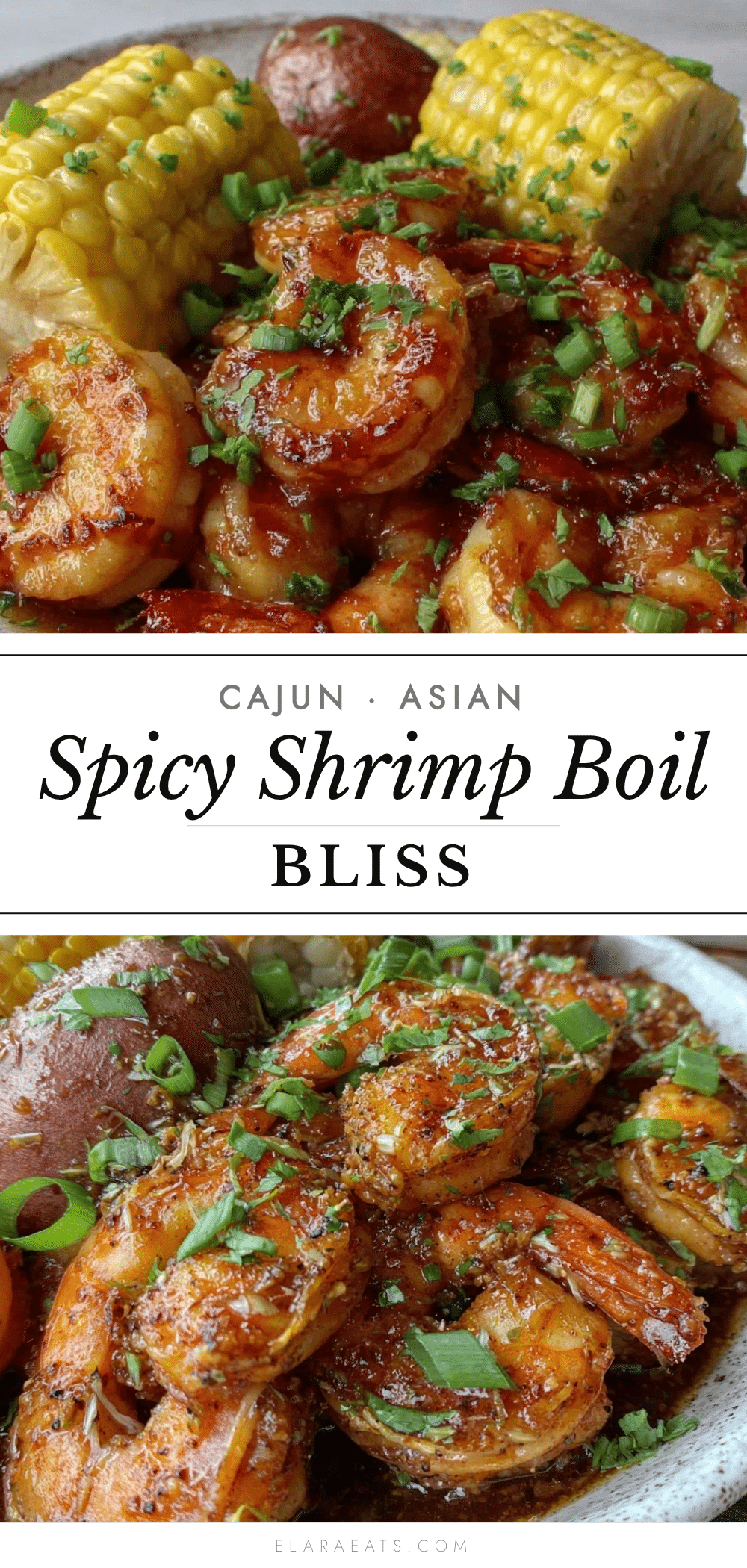 Cajun-Asian Shrimp Boil recipe