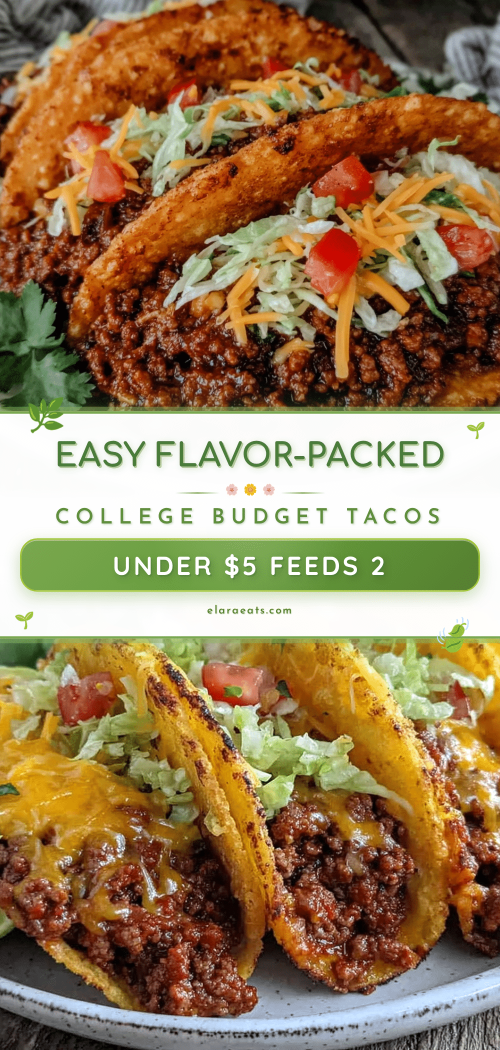college budget tacos recipe