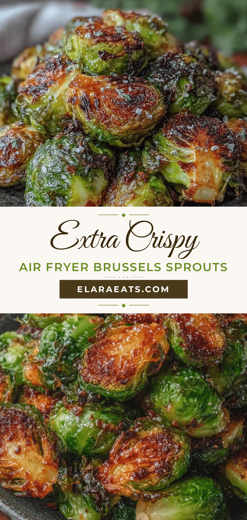 crispy air fryer brussels sprouts recipe