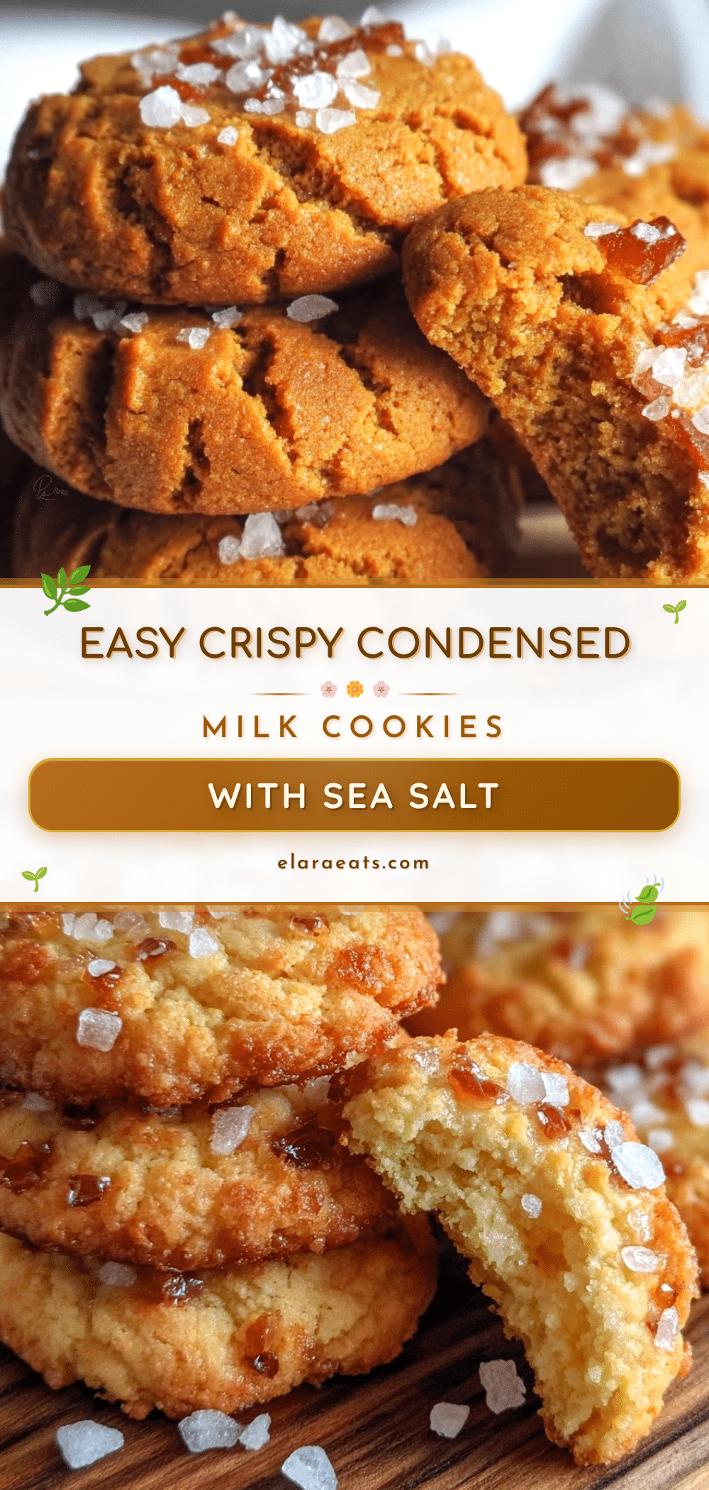 crispy condensed milk cookies recipe