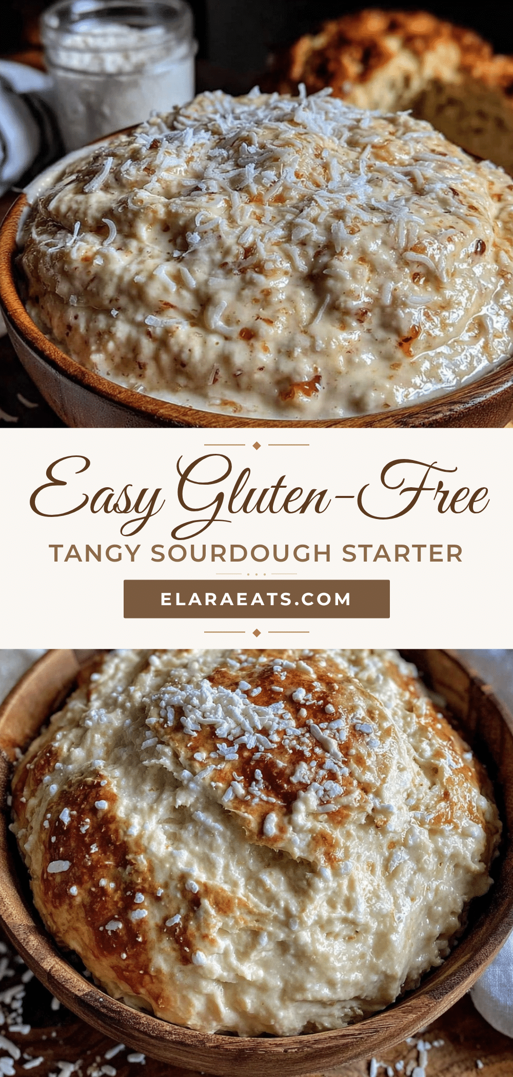 easy gluten-free sourdough starter recipe