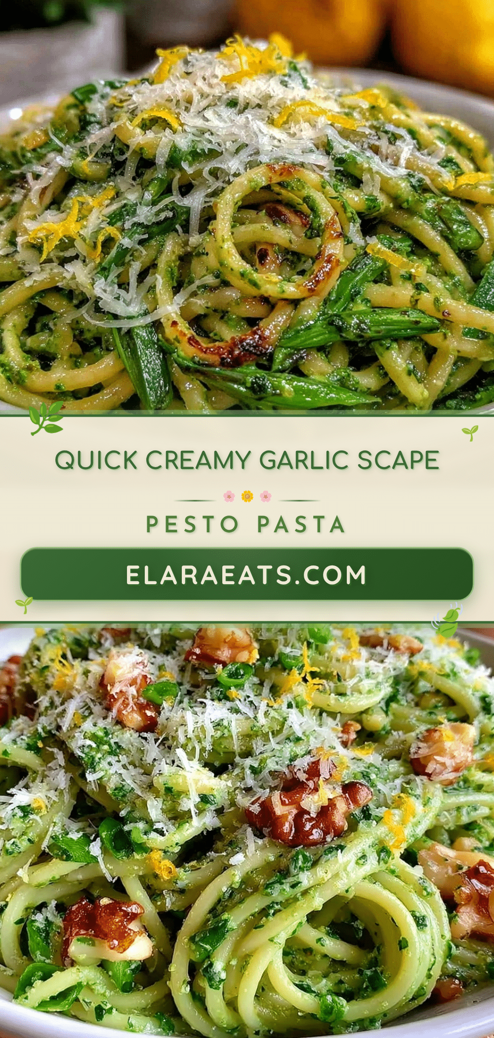 quick creamy garlic scape pesto pasta recipe
