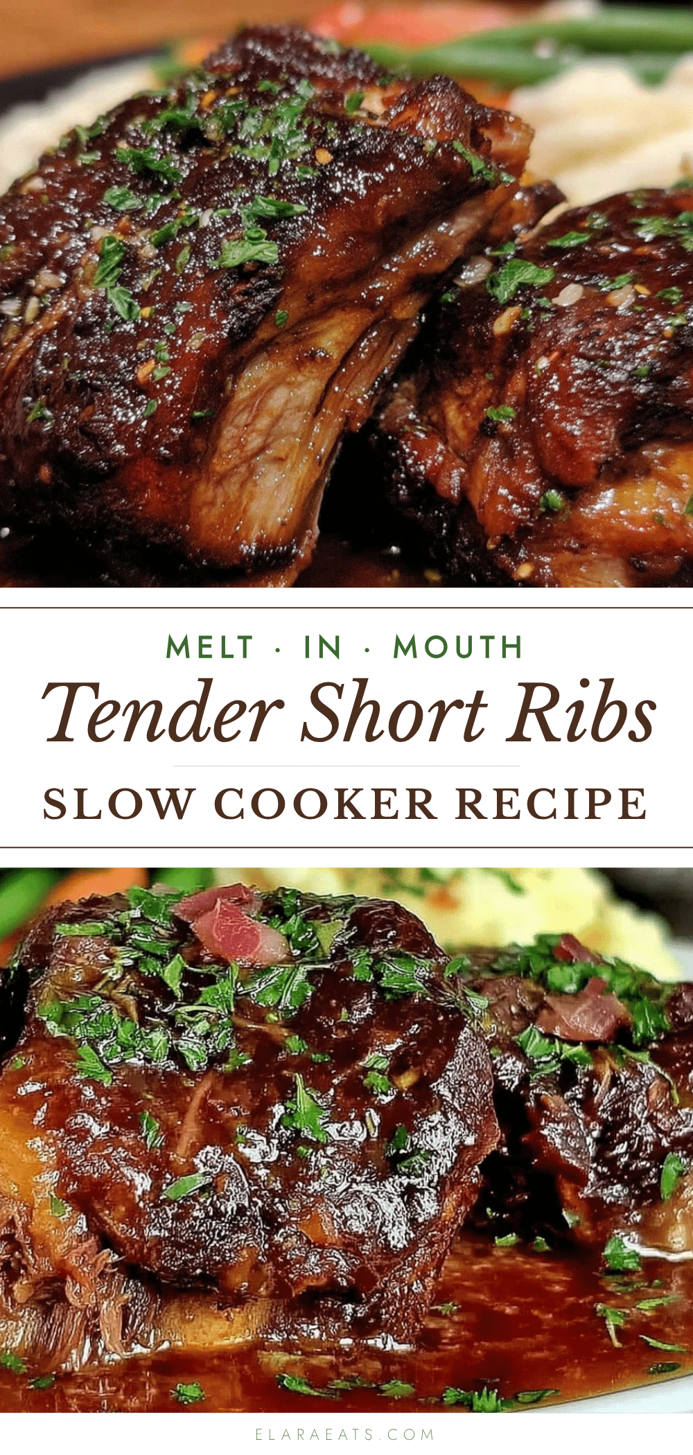 slow cooker short ribs recipe