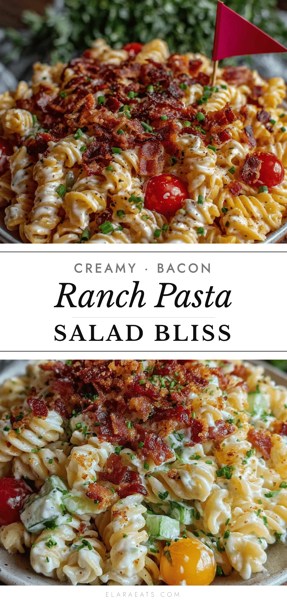 creamy bacon ranch pasta salad recipe
