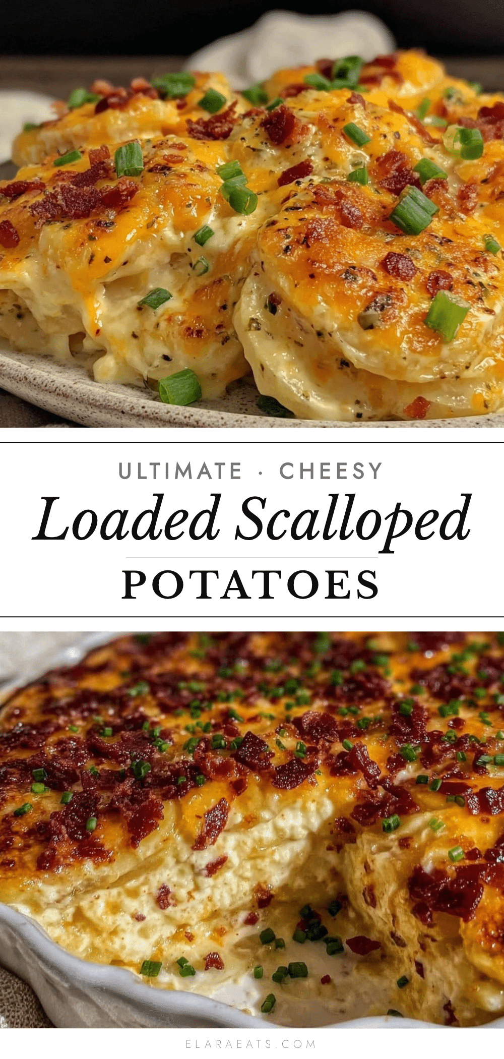 creamy cheesy loaded scalloped potatoes recipe