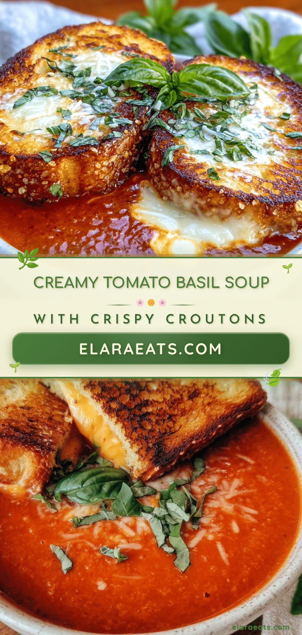 creamy tomato basil soup recipe