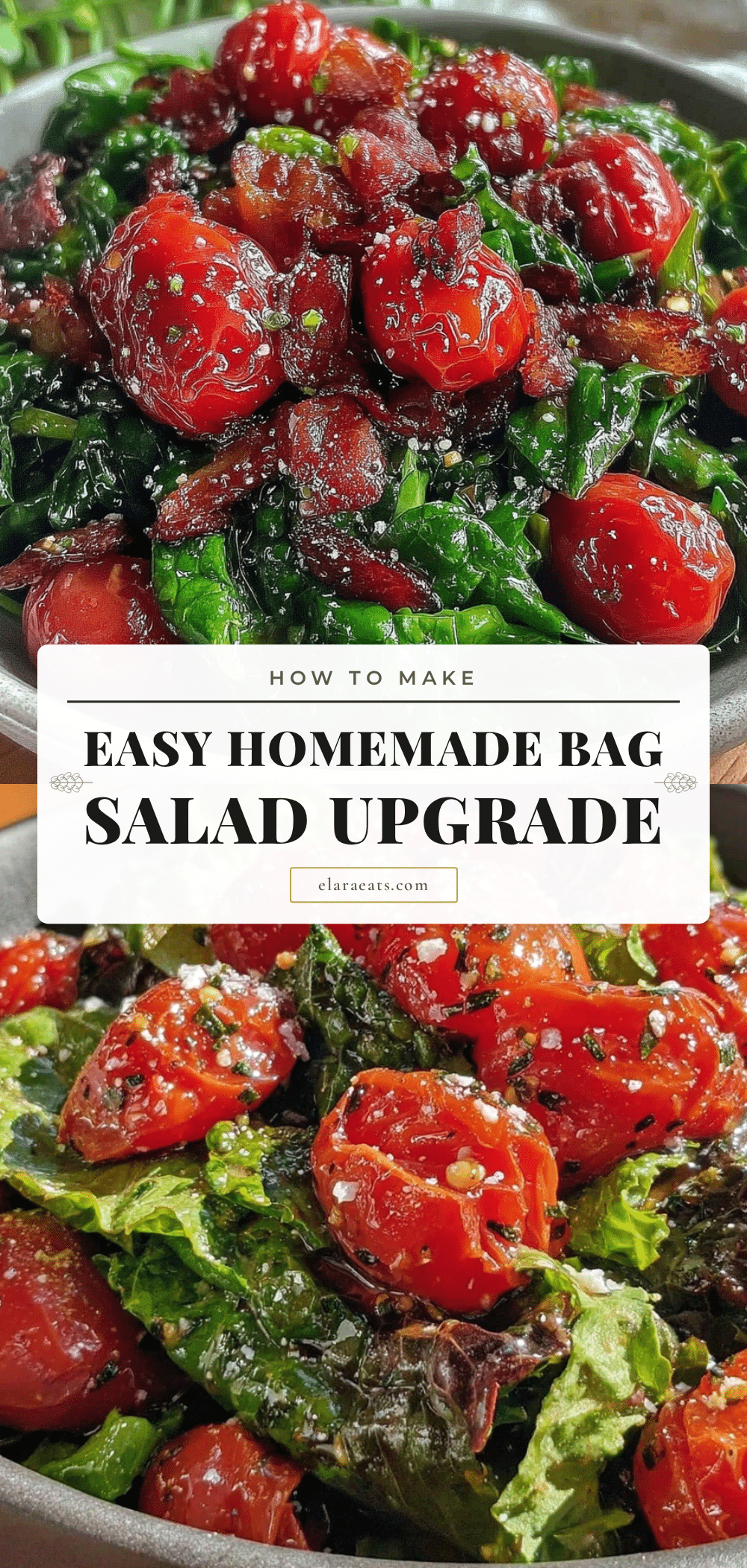 easy bag salad upgrade recipe