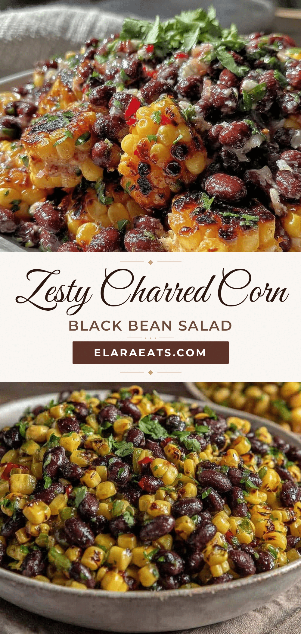 fresh charred corn and black bean salad recipe