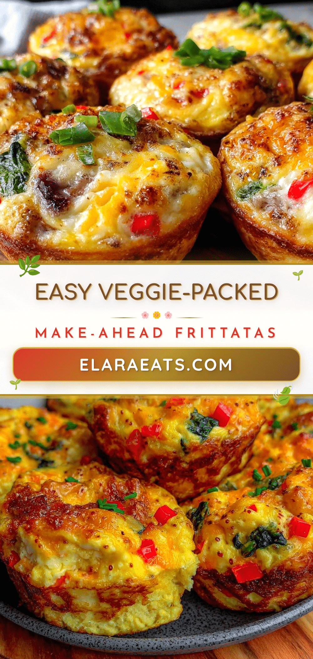 muffin tin frittatas recipe