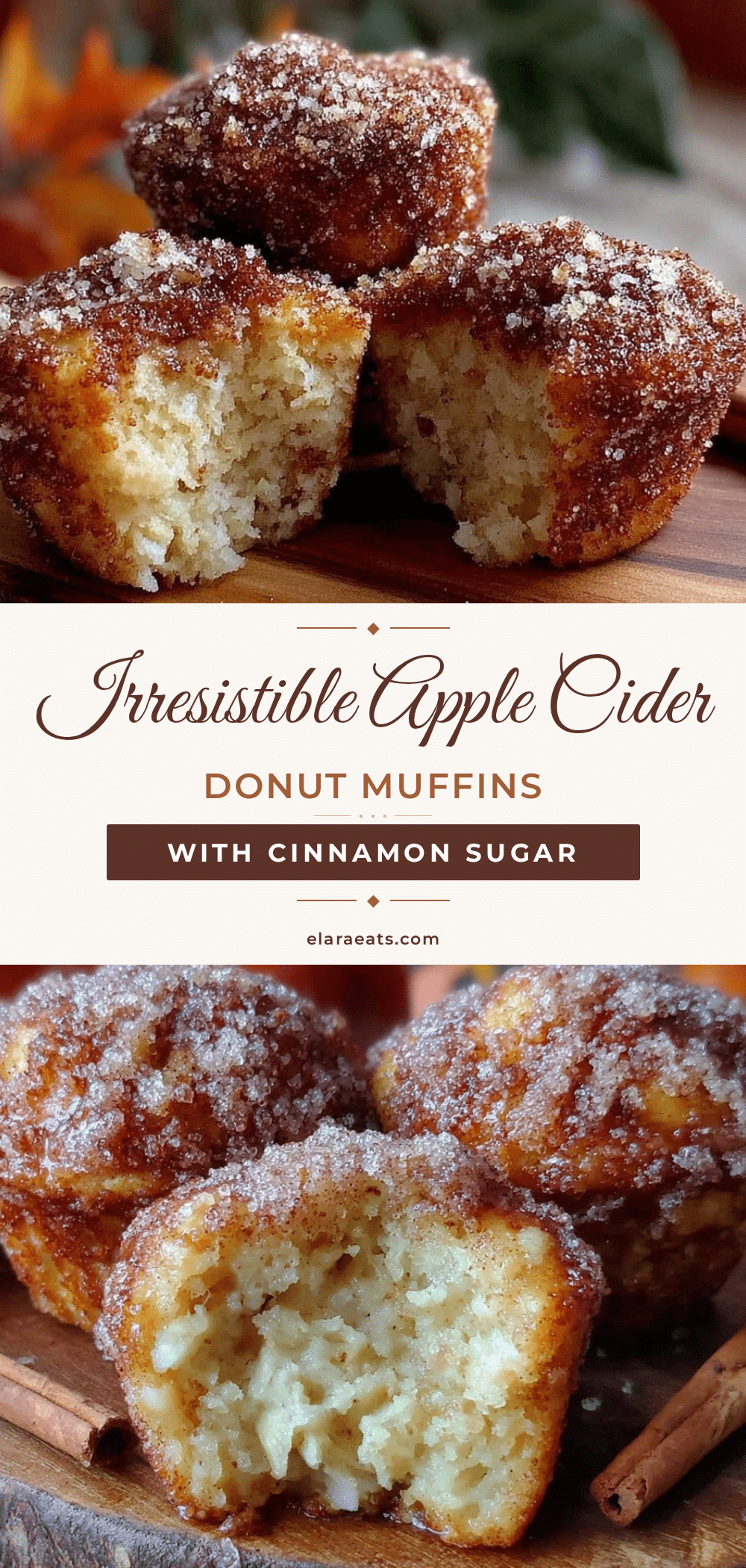 apple cider donut muffins recipe