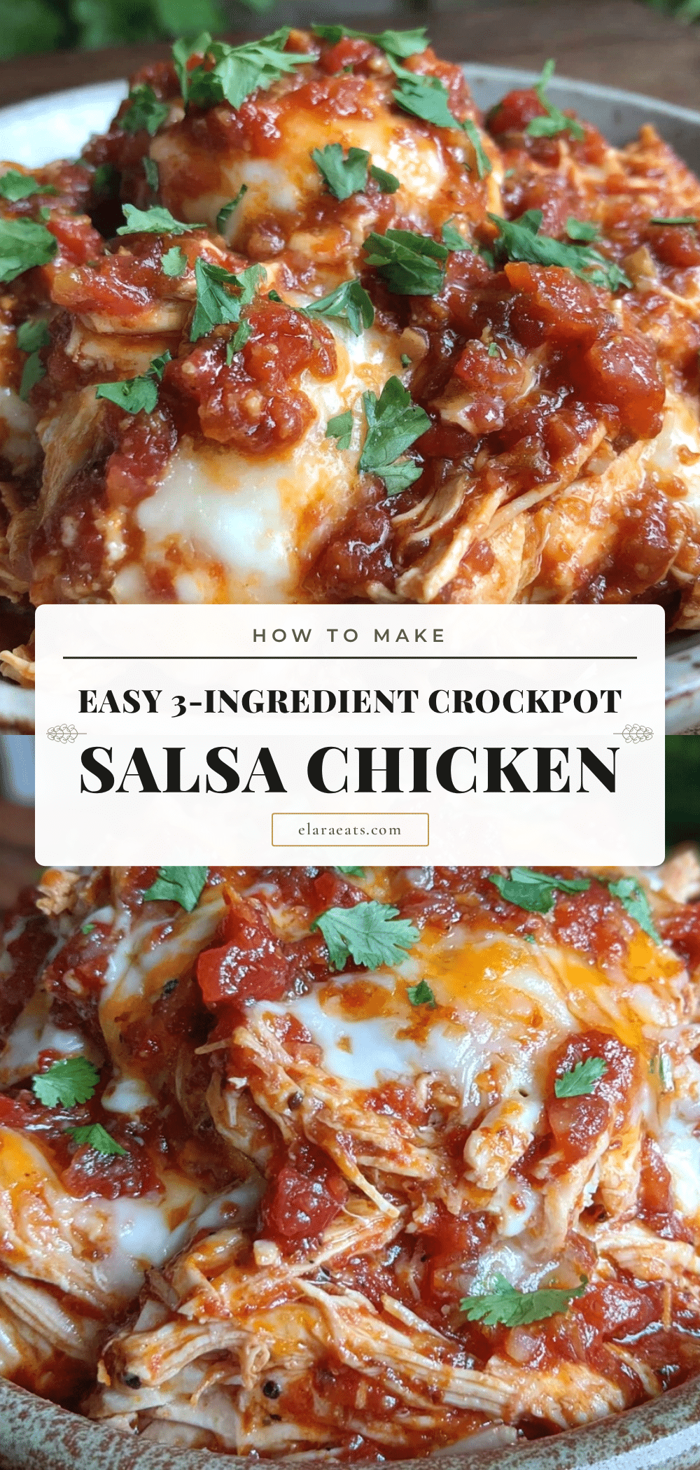 crockpot salsa chicken recipe