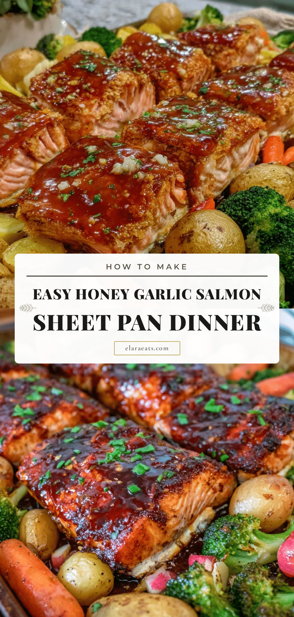 easy sheet pan honey garlic salmon recipe