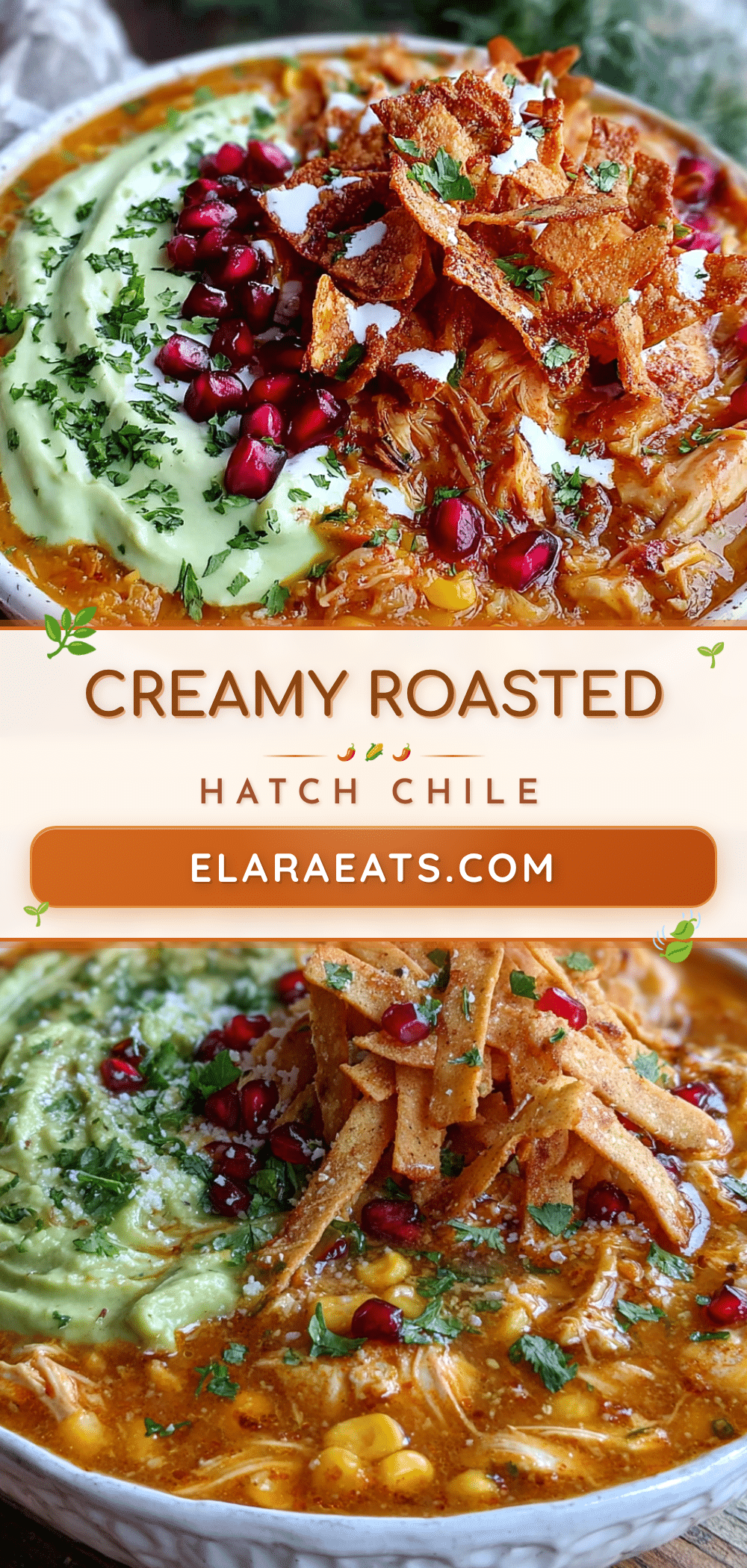 Hatch green chile chicken tortilla soup recipe