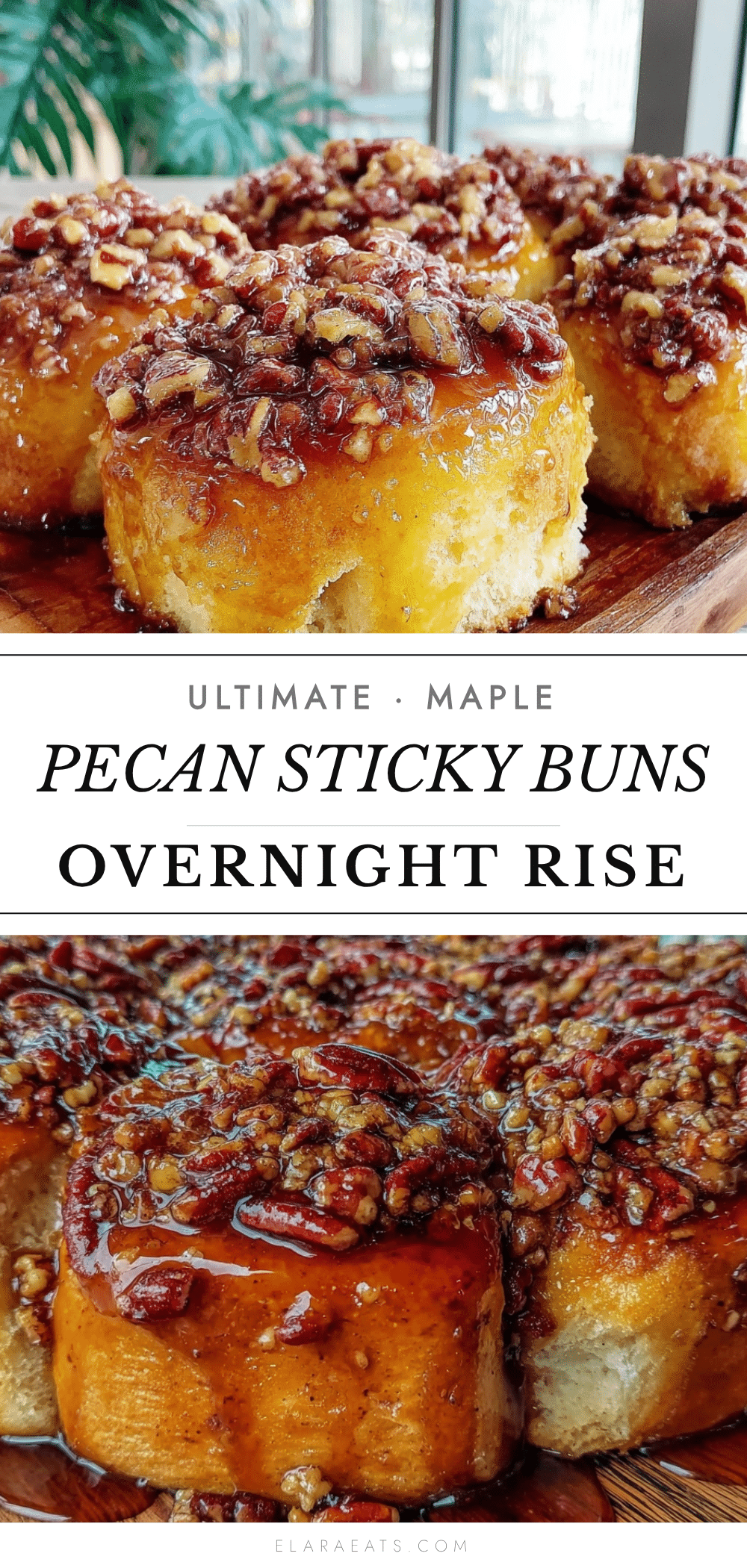 maple pecan sticky buns recipe