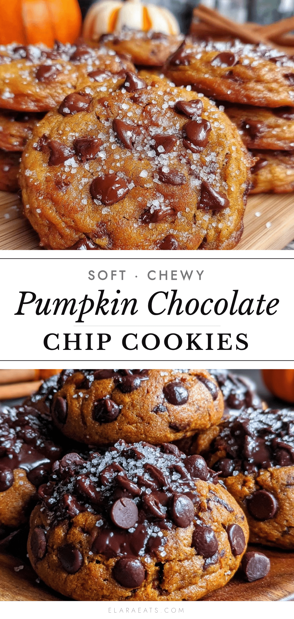 pumpkin chocolate chip cookies recipe