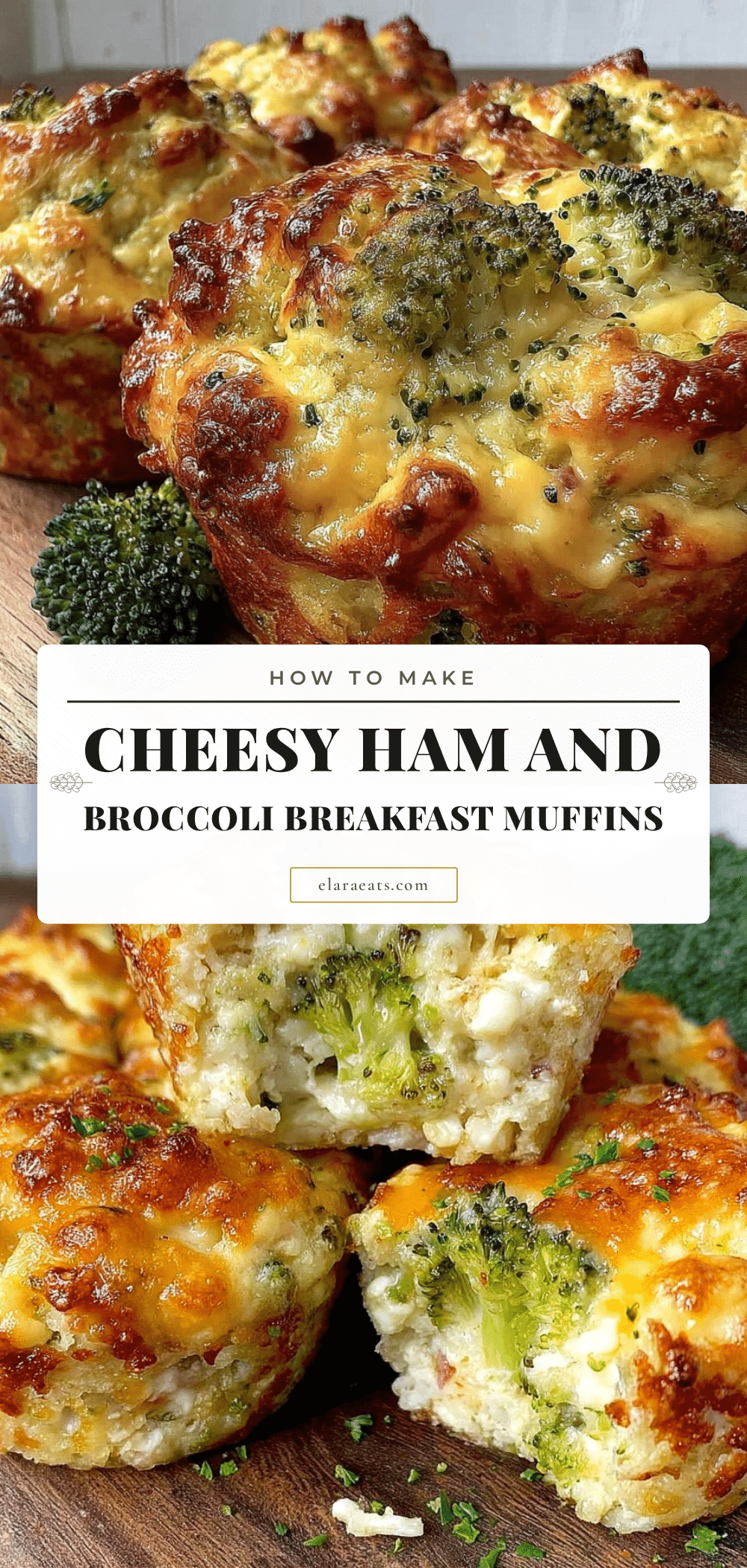 savory cheesy ham broccoli muffins recipe