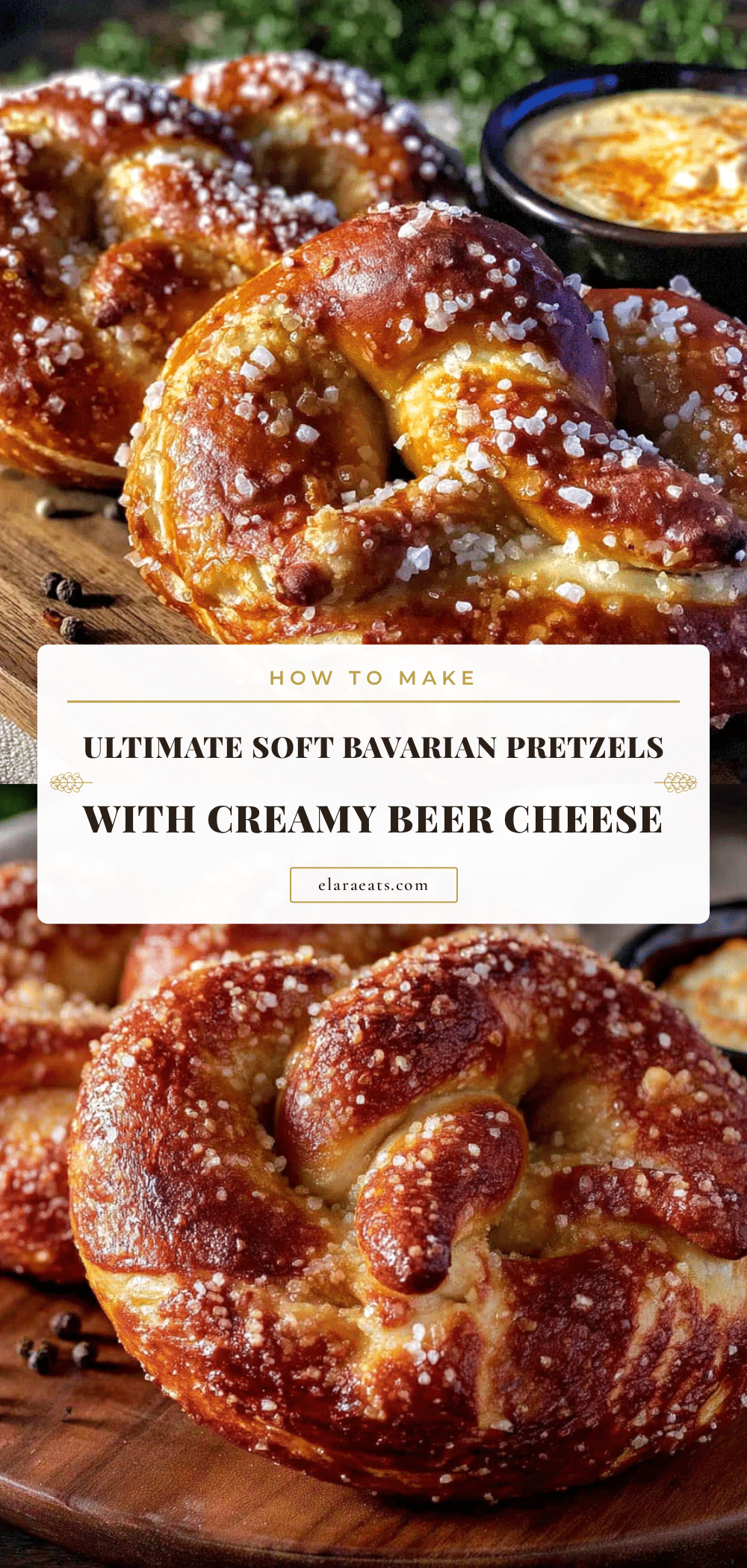Bavarian pretzels with beer cheese dip recipe
