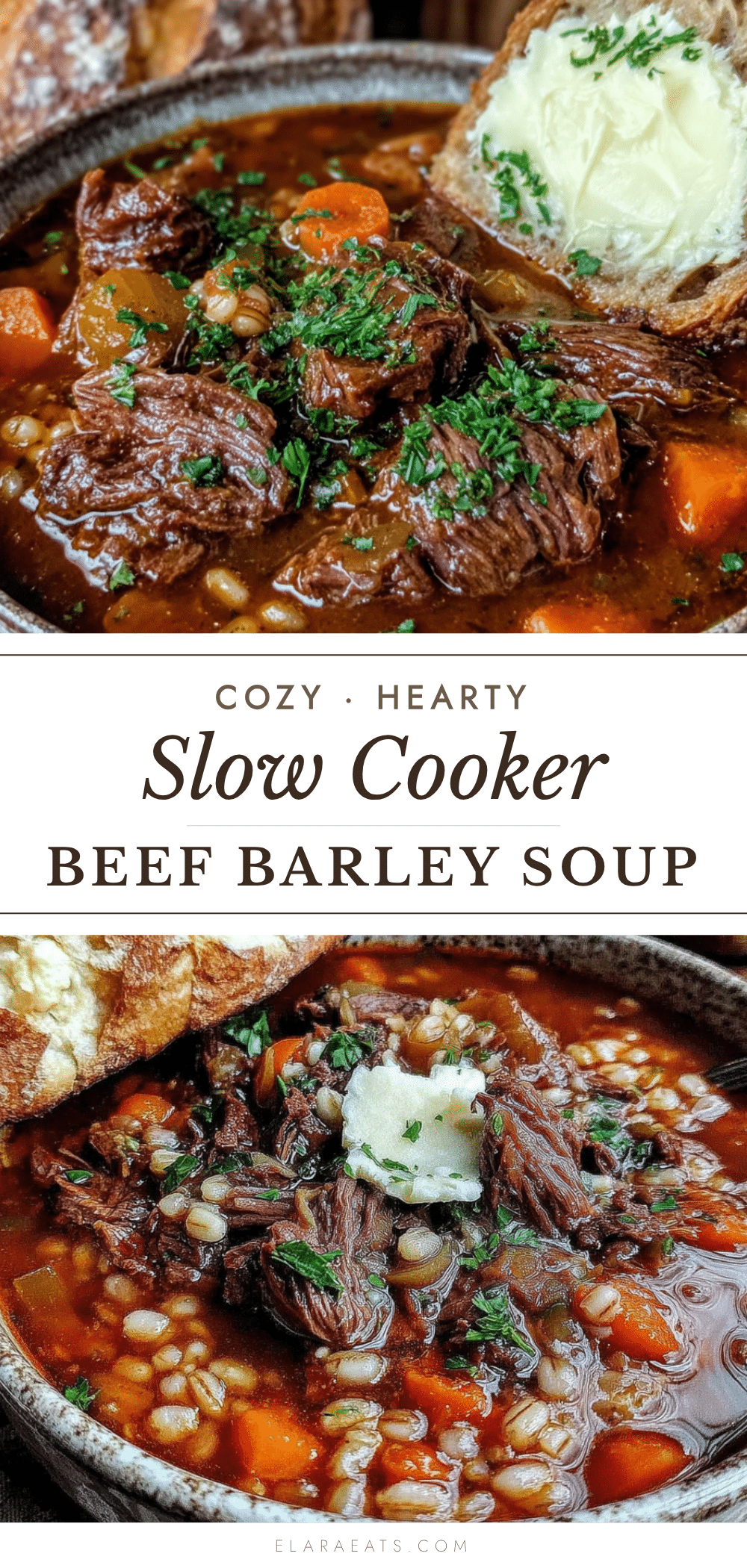 beef and barley soup recipe