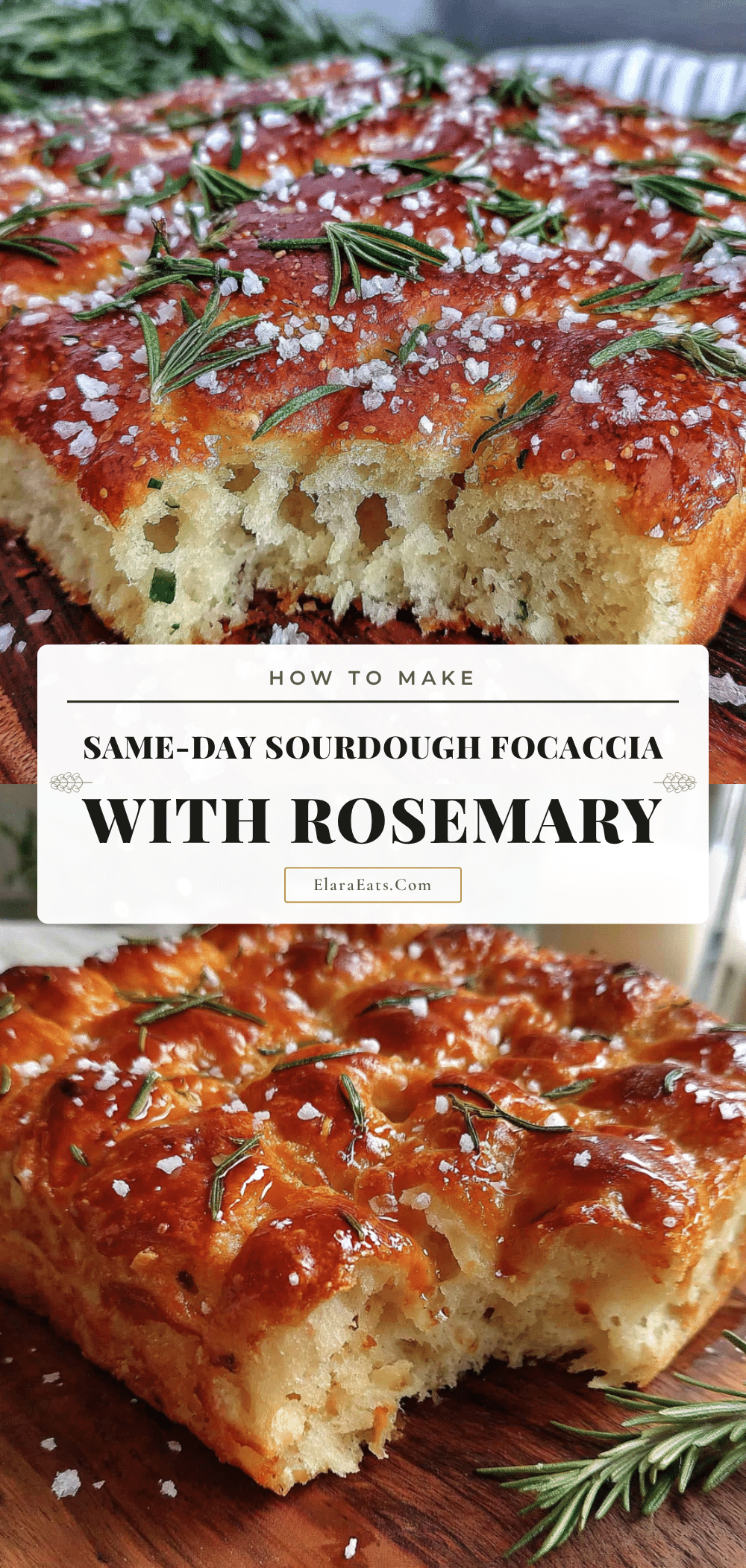 best easy same-day sourdough focaccia with rosemary recipe