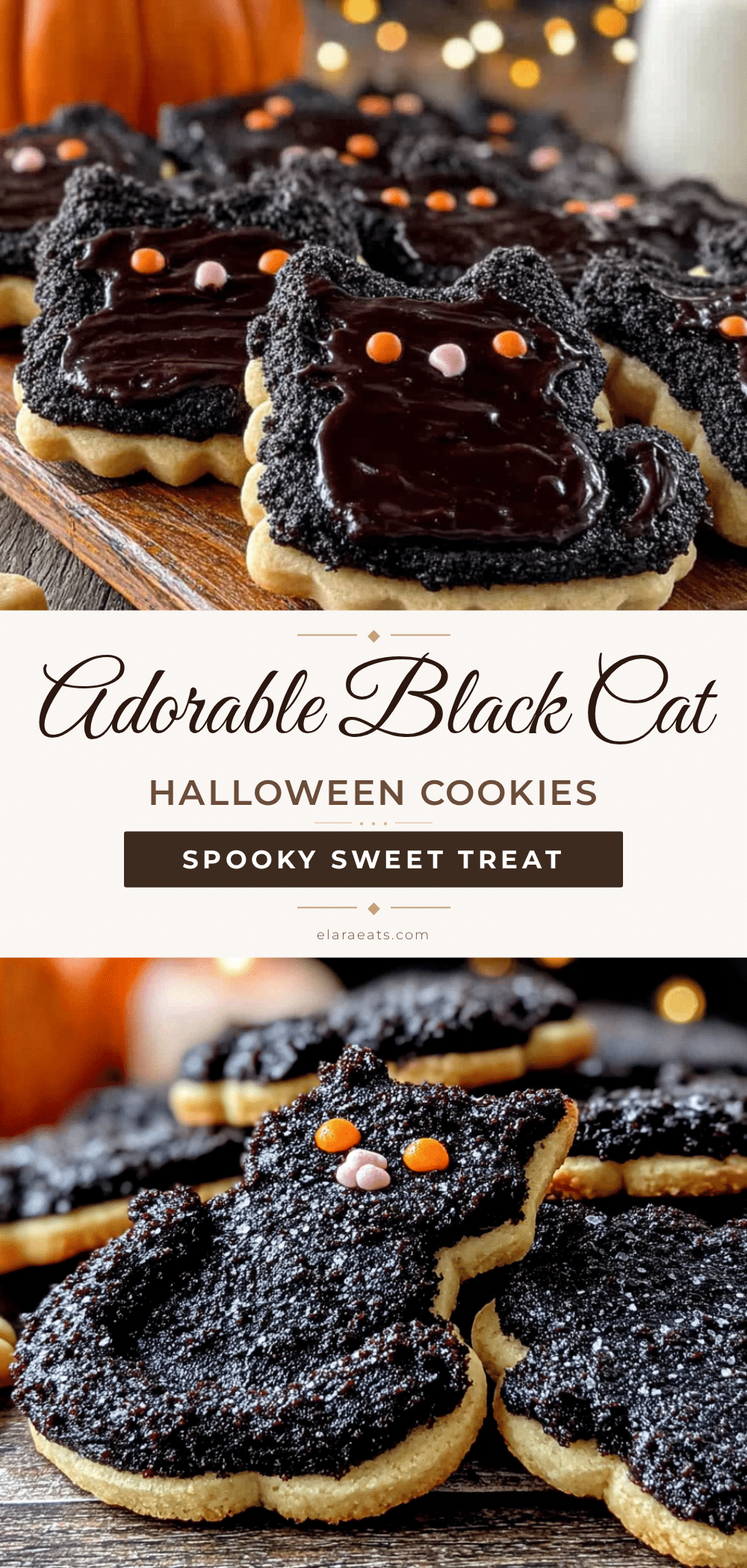 black cat halloween sugar cookies recipe