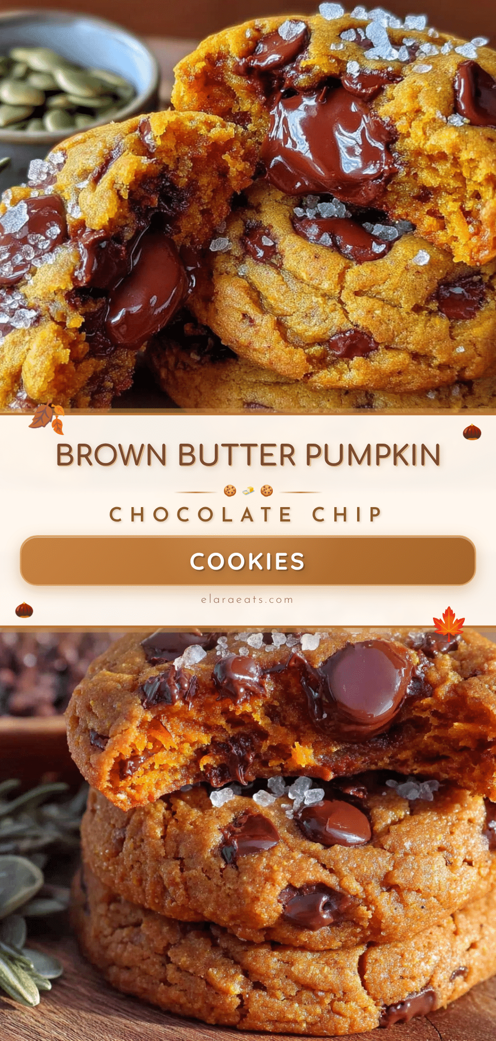 brown butter pumpkin chocolate chip cookies recipe