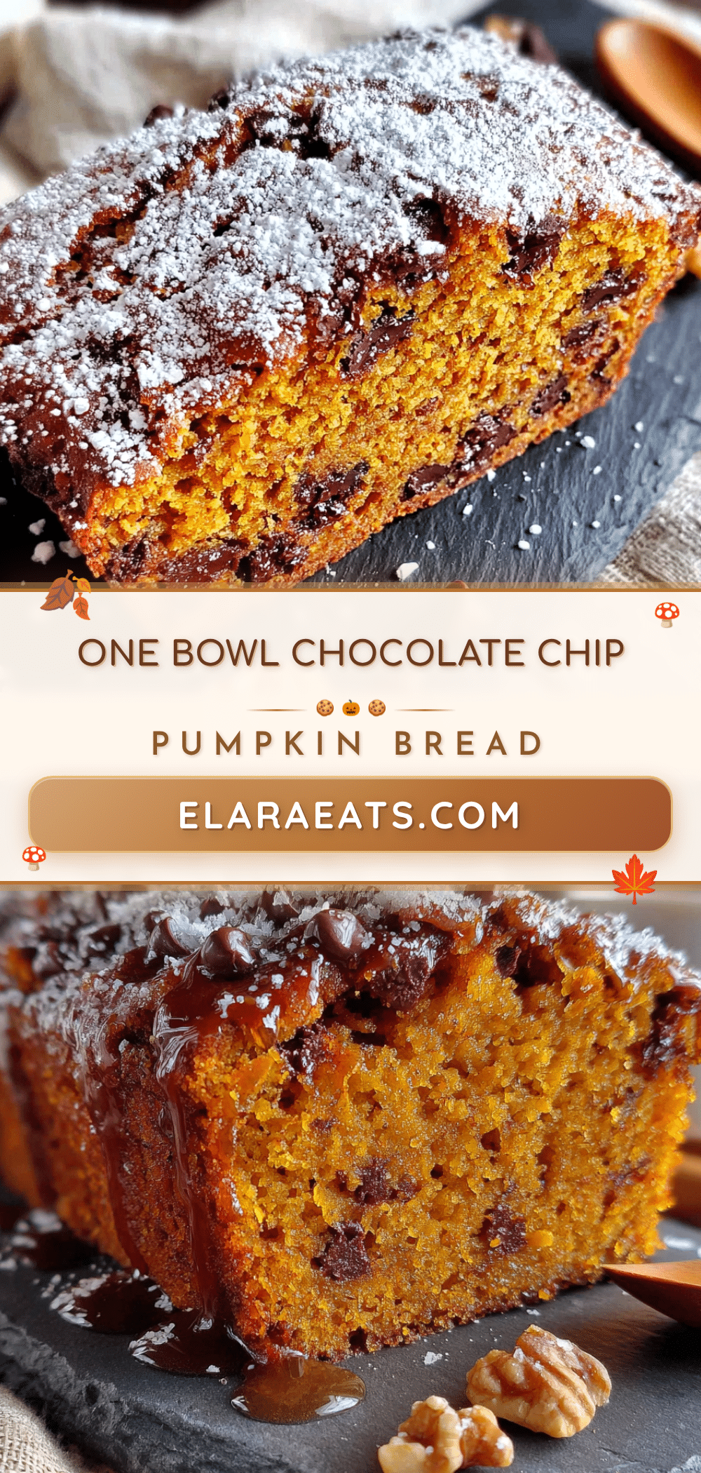 chocolate chip pumpkin bread recipe
