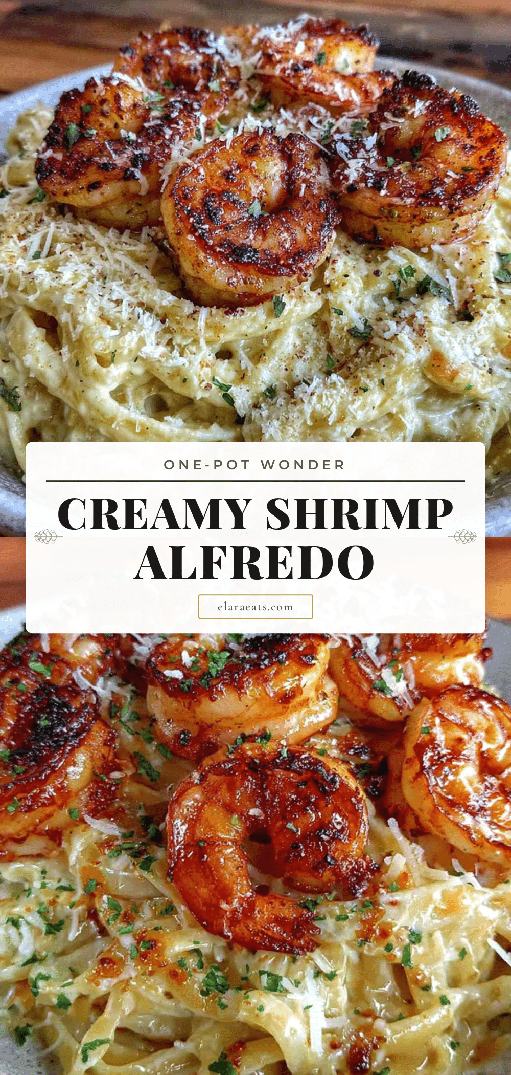 creamy one-pot shrimp alfredo pasta recipe