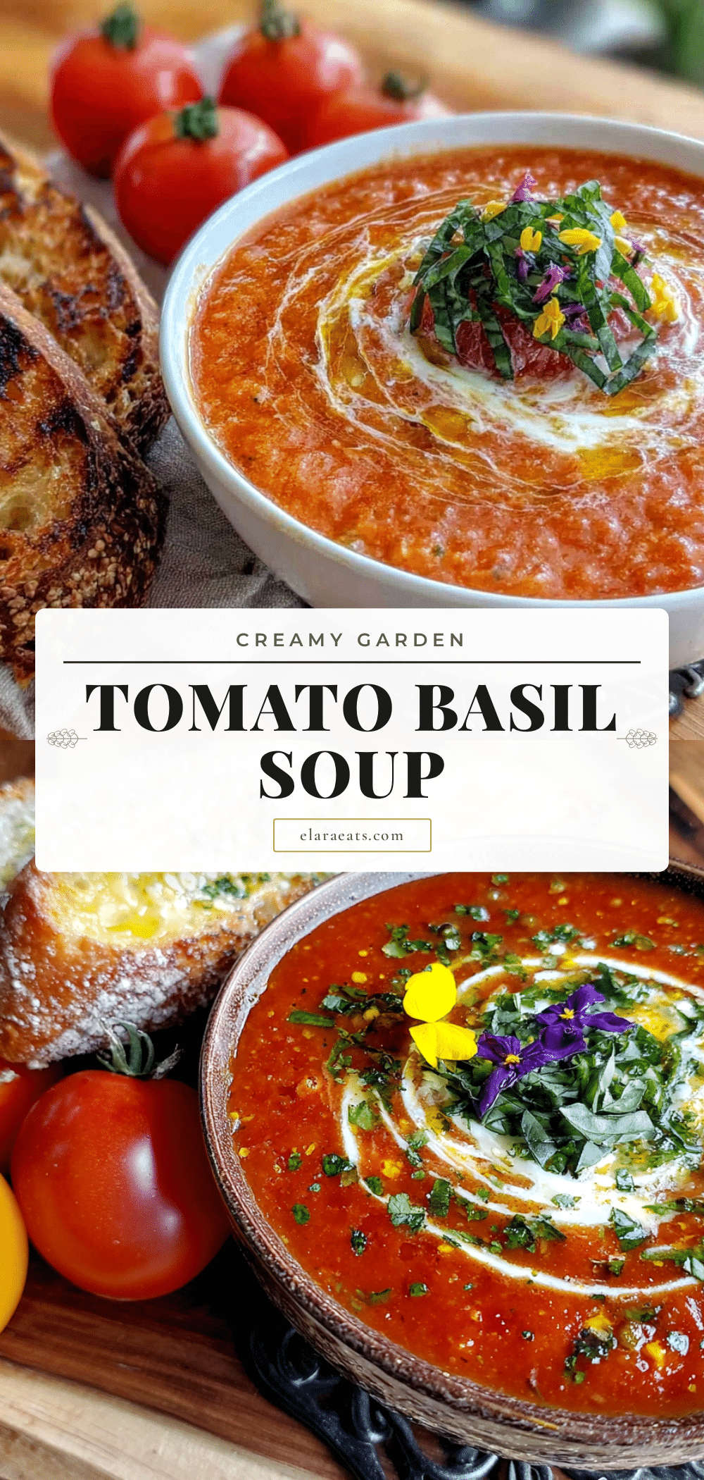 creamy tomato basil soup recipe