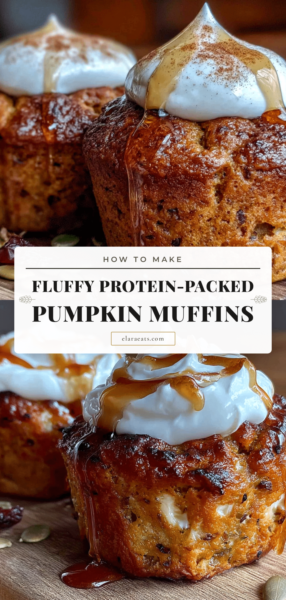 healthy pumpkin protein muffins recipe