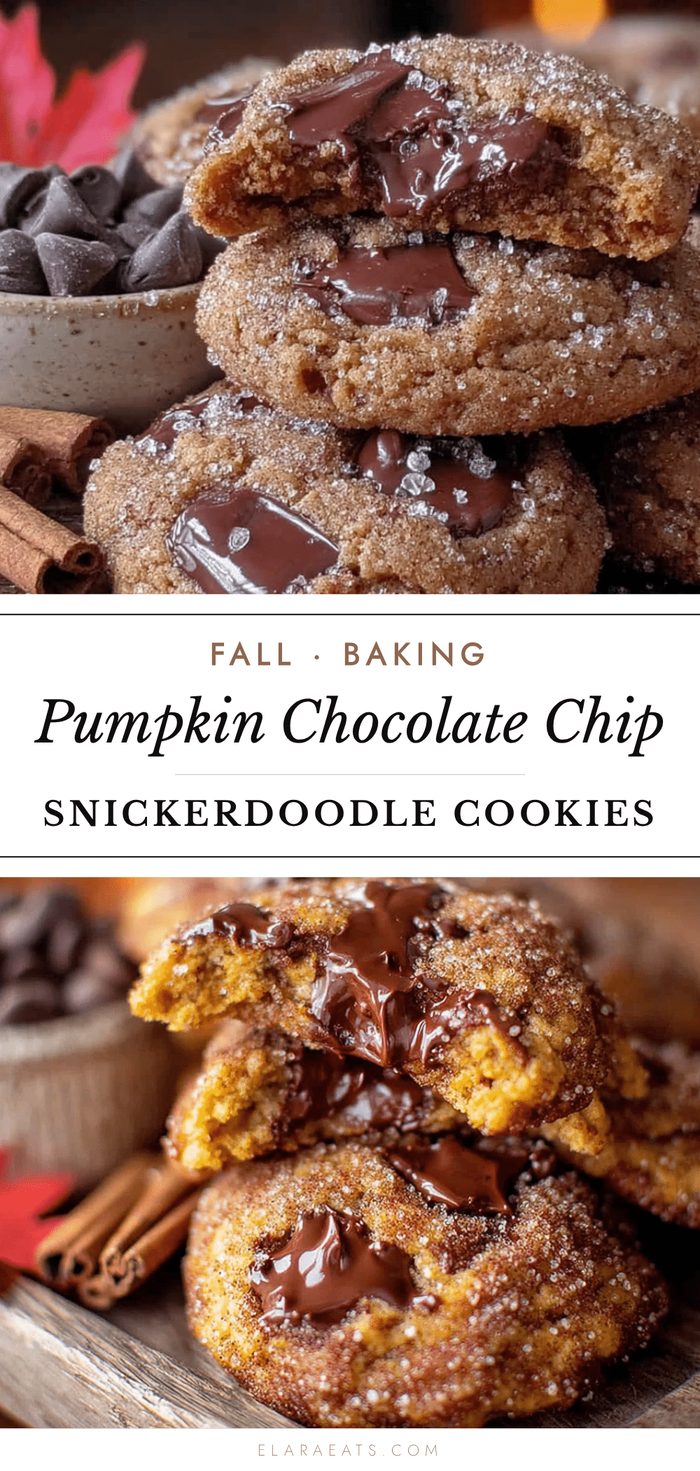 pumpkin chocolate chip snickerdoodle cookies recipe