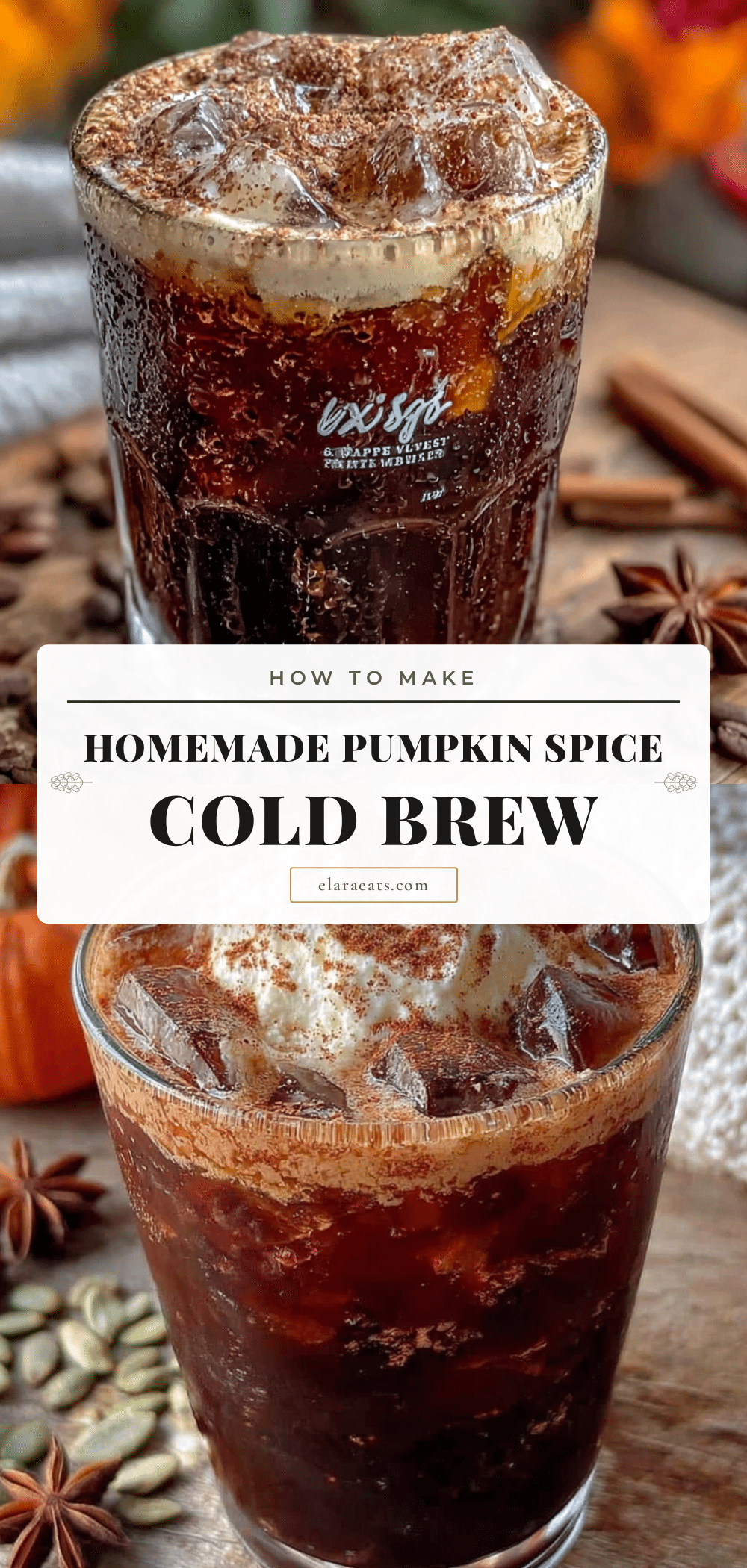 pumpkin spice cold brew concentrate recipe