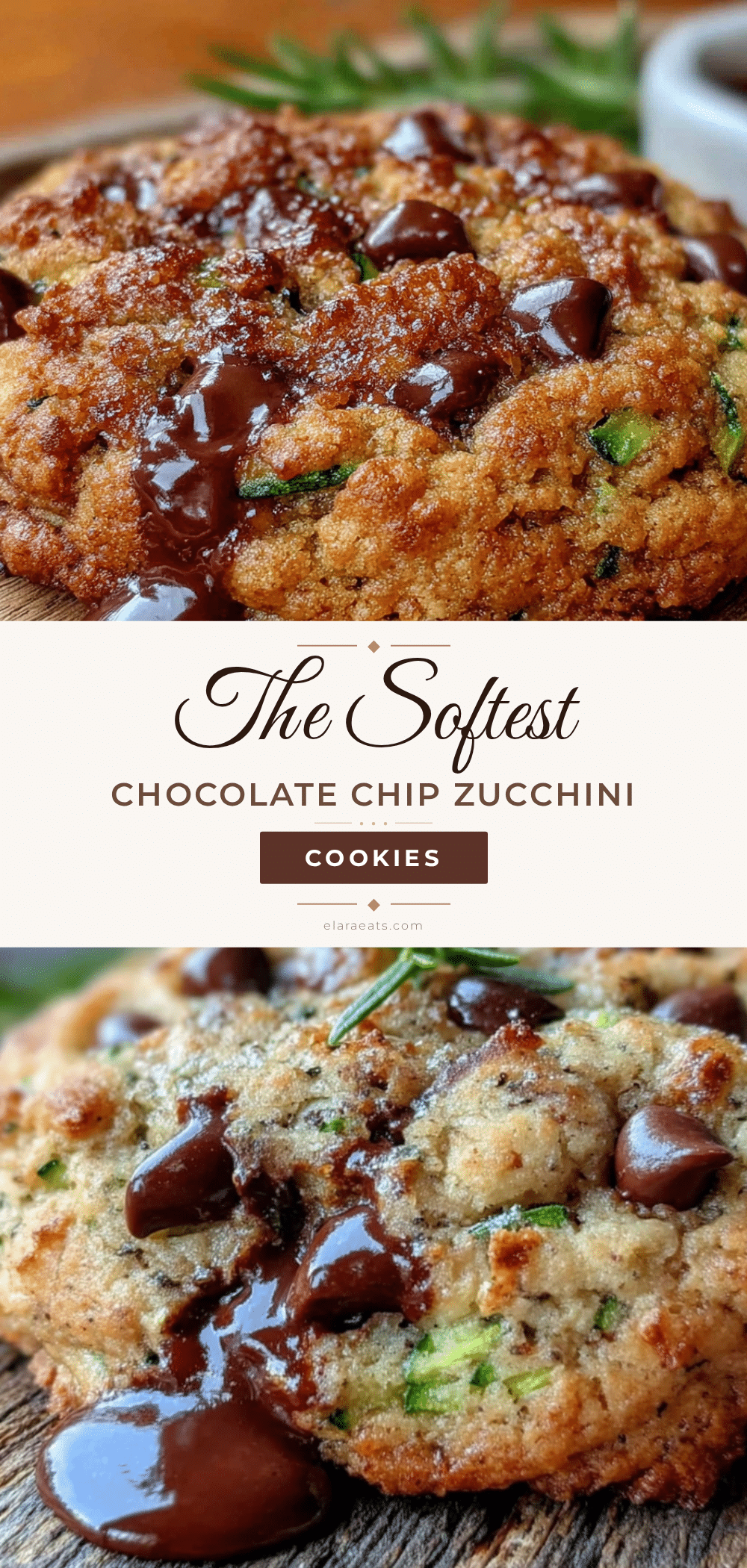 softest chocolate chip zucchini cookies recipe