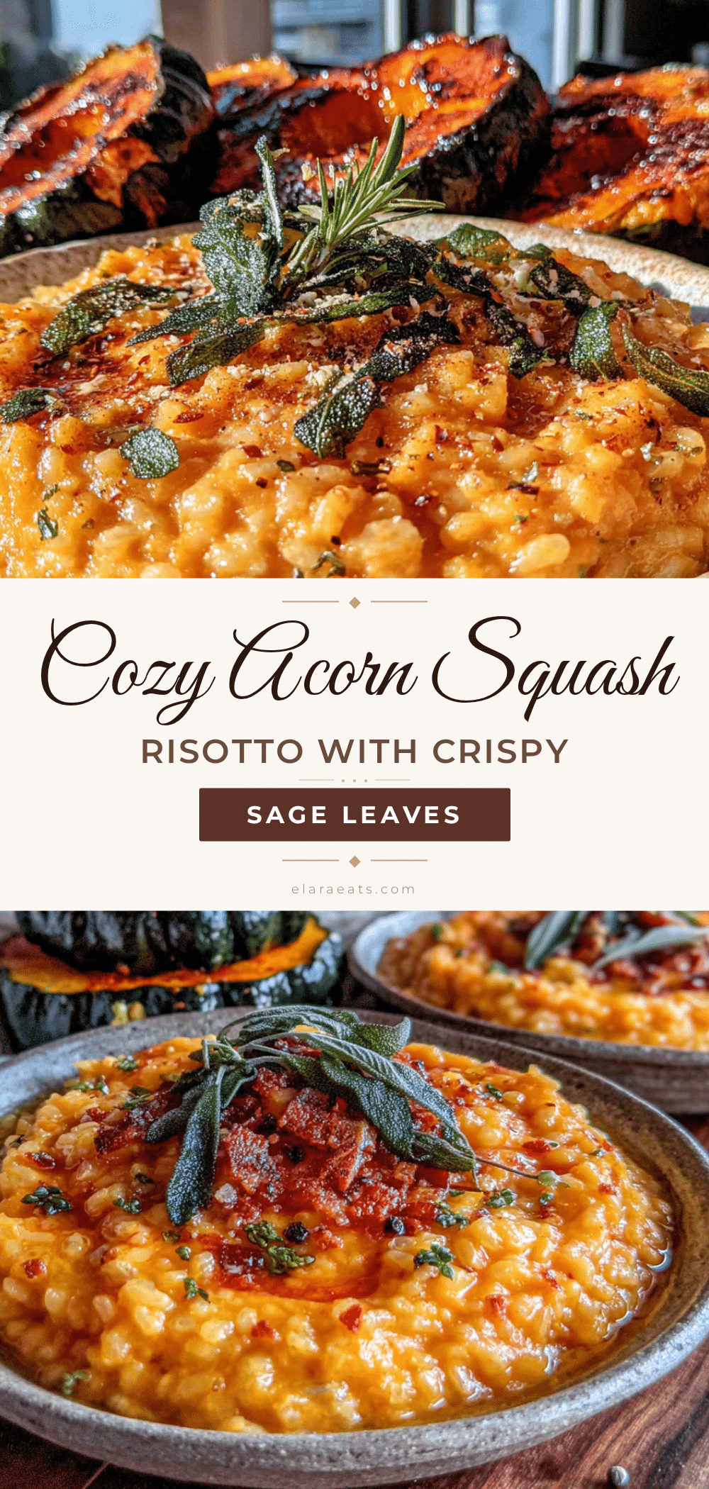 acorn squash risotto recipe